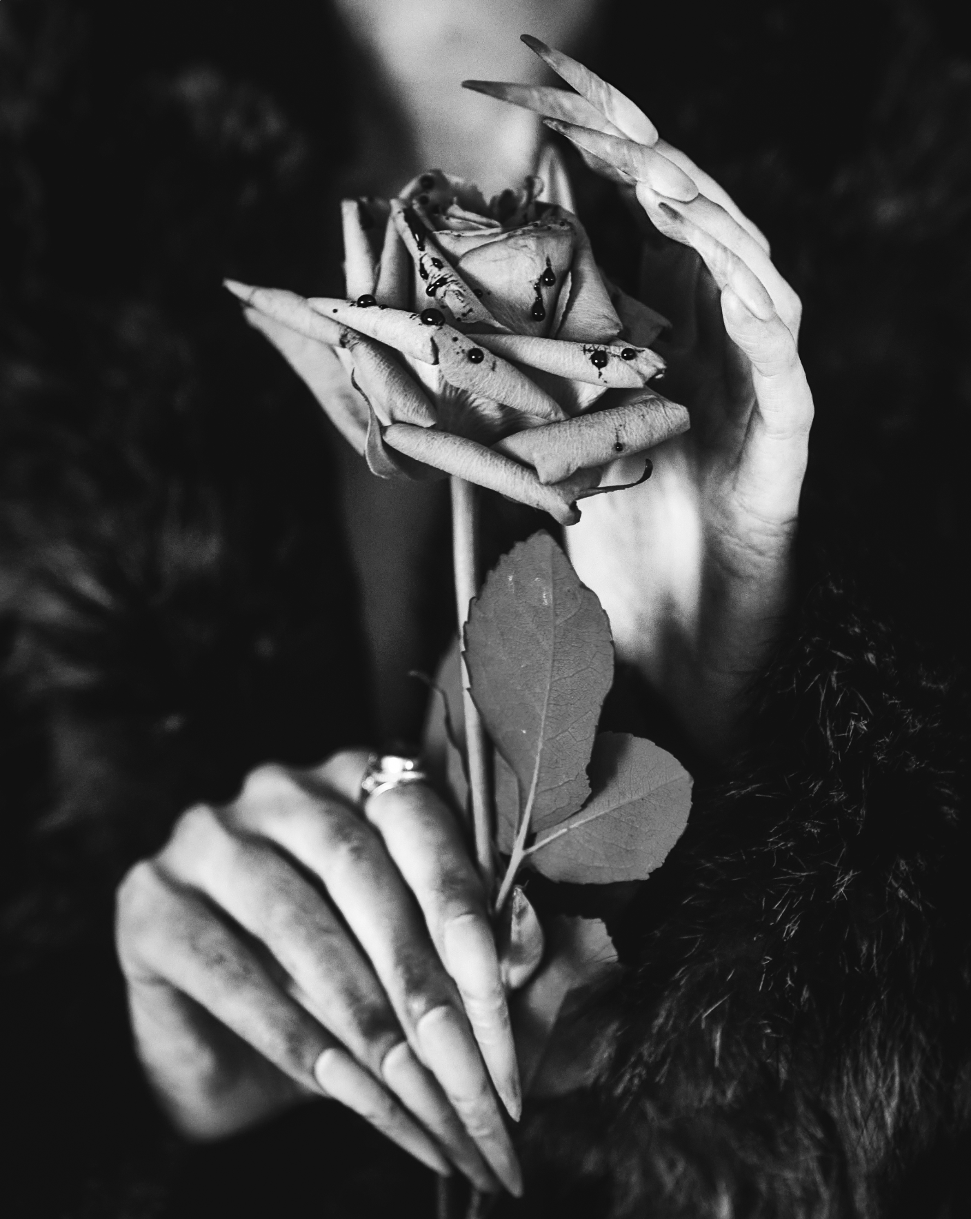 Screenshot 2026-01-26 at 15.10.11.png