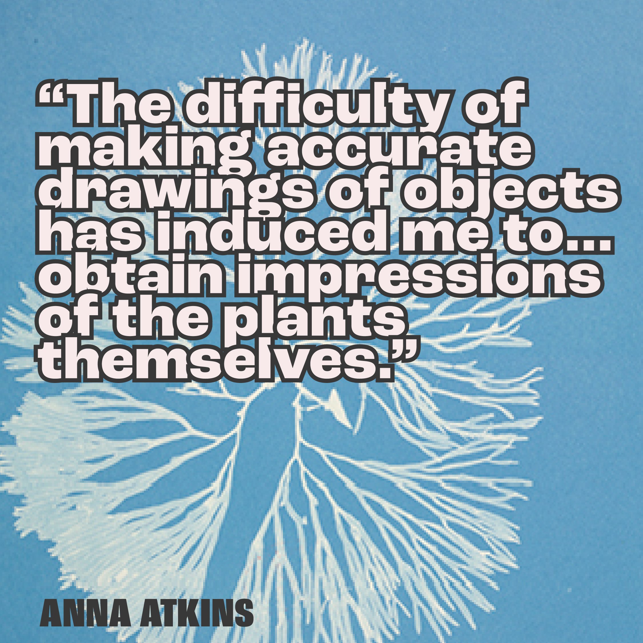 PRINT CLUB: Cyanotype Workshop inspired by Anna Atkins