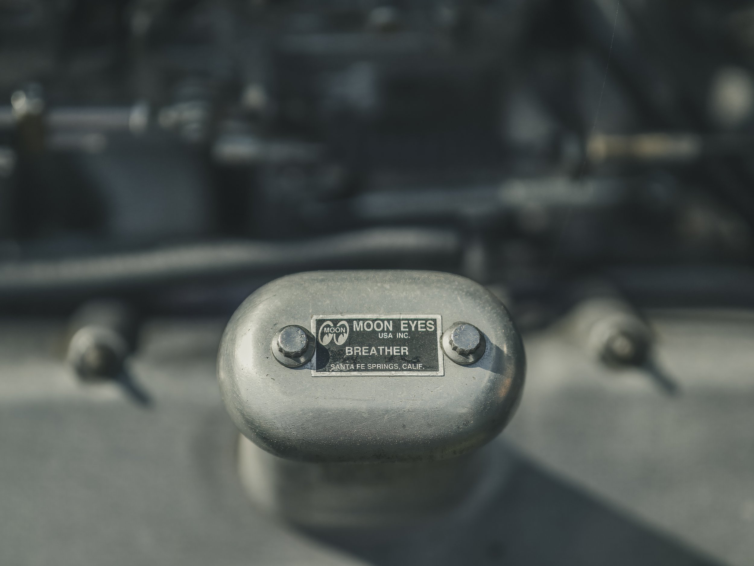 2024 TDGD_CS-31.jpg