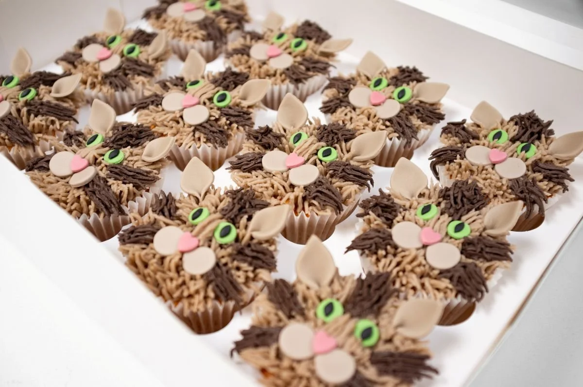 Tabby cat textured buttercream cupcakes