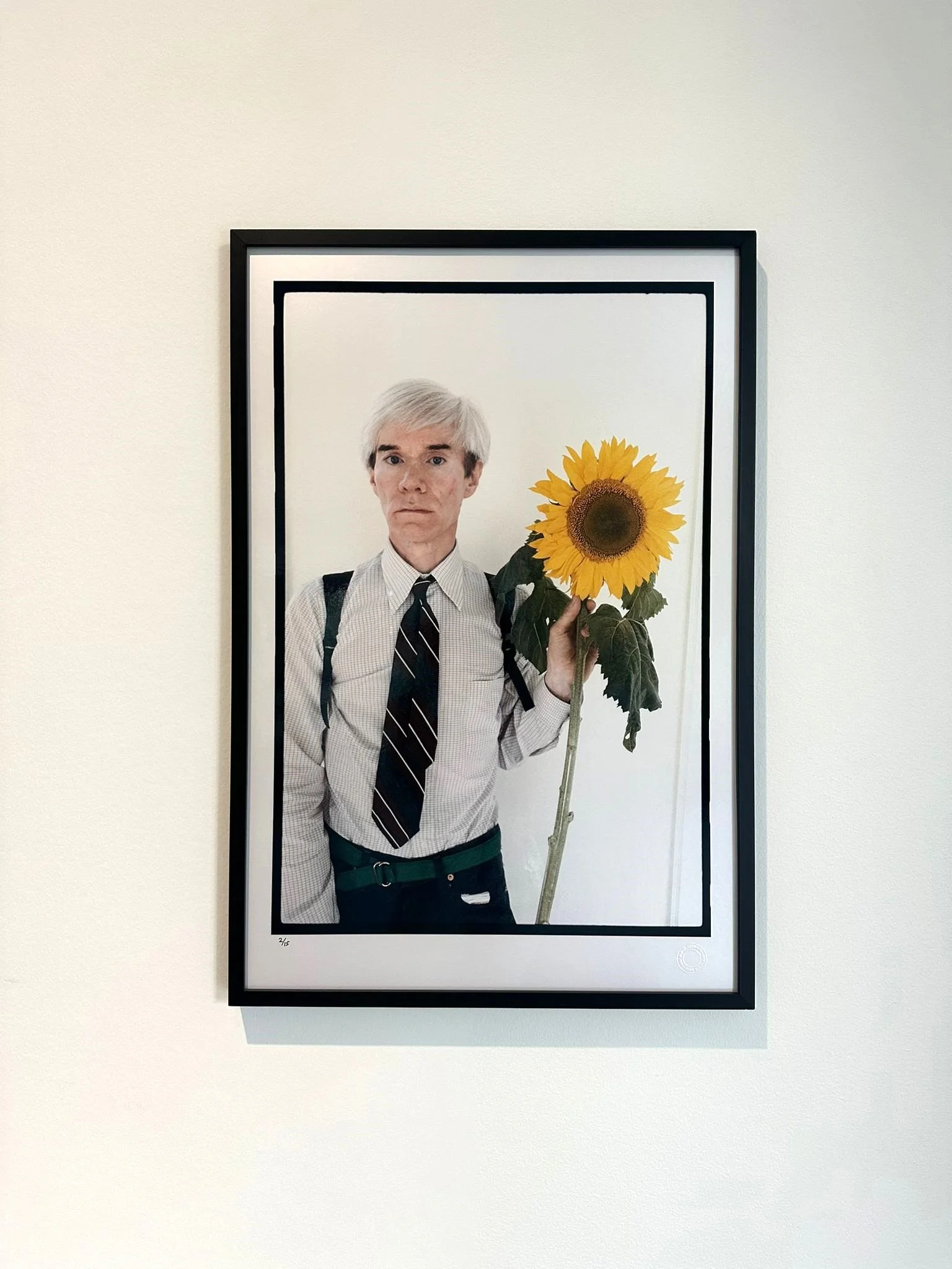 Utställningen “I follow the sun” på Artipelag