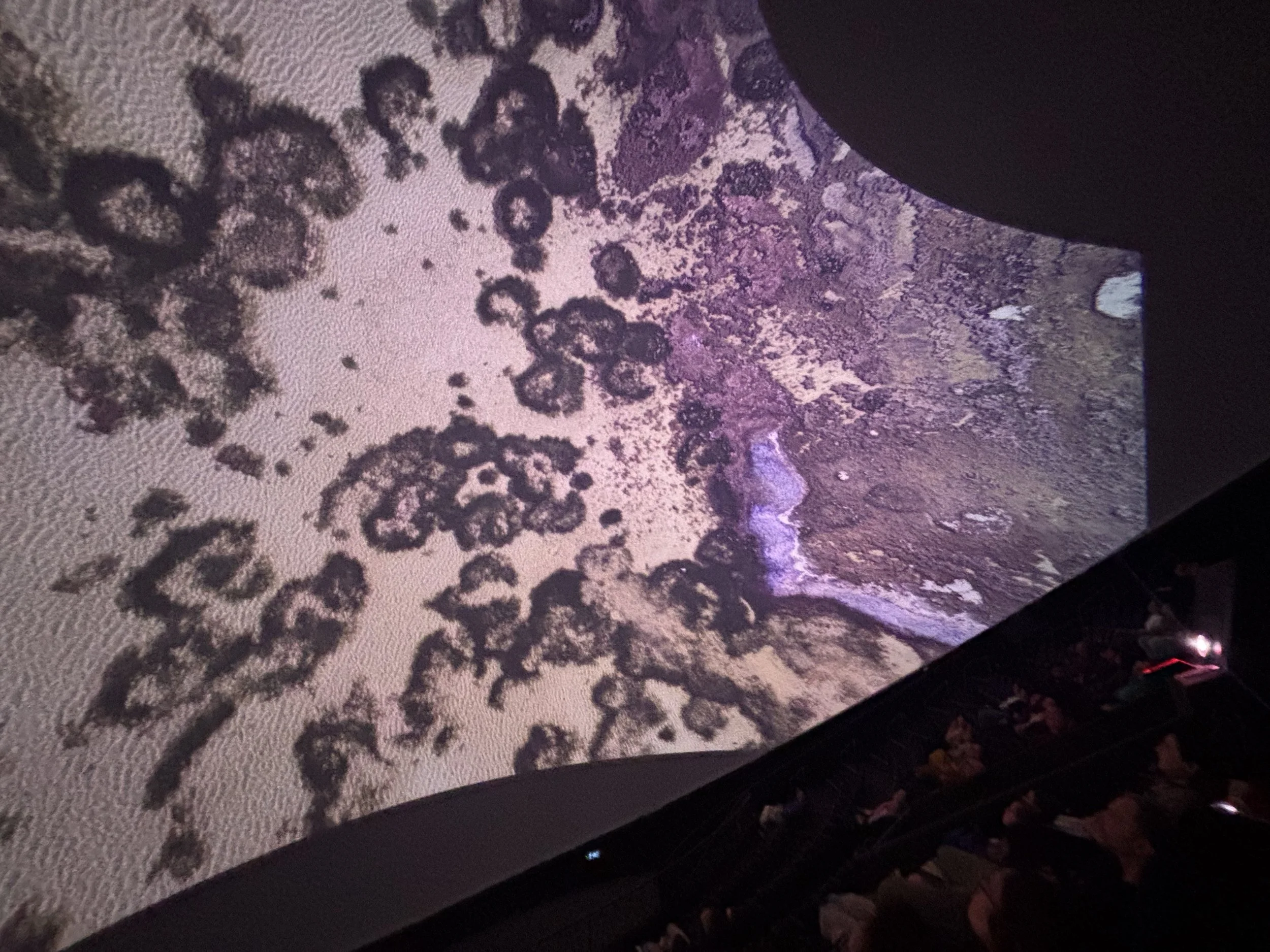 Divia – en symfoni av en sårad natur&nbsp;–&nbsp;visades i Cosmonova