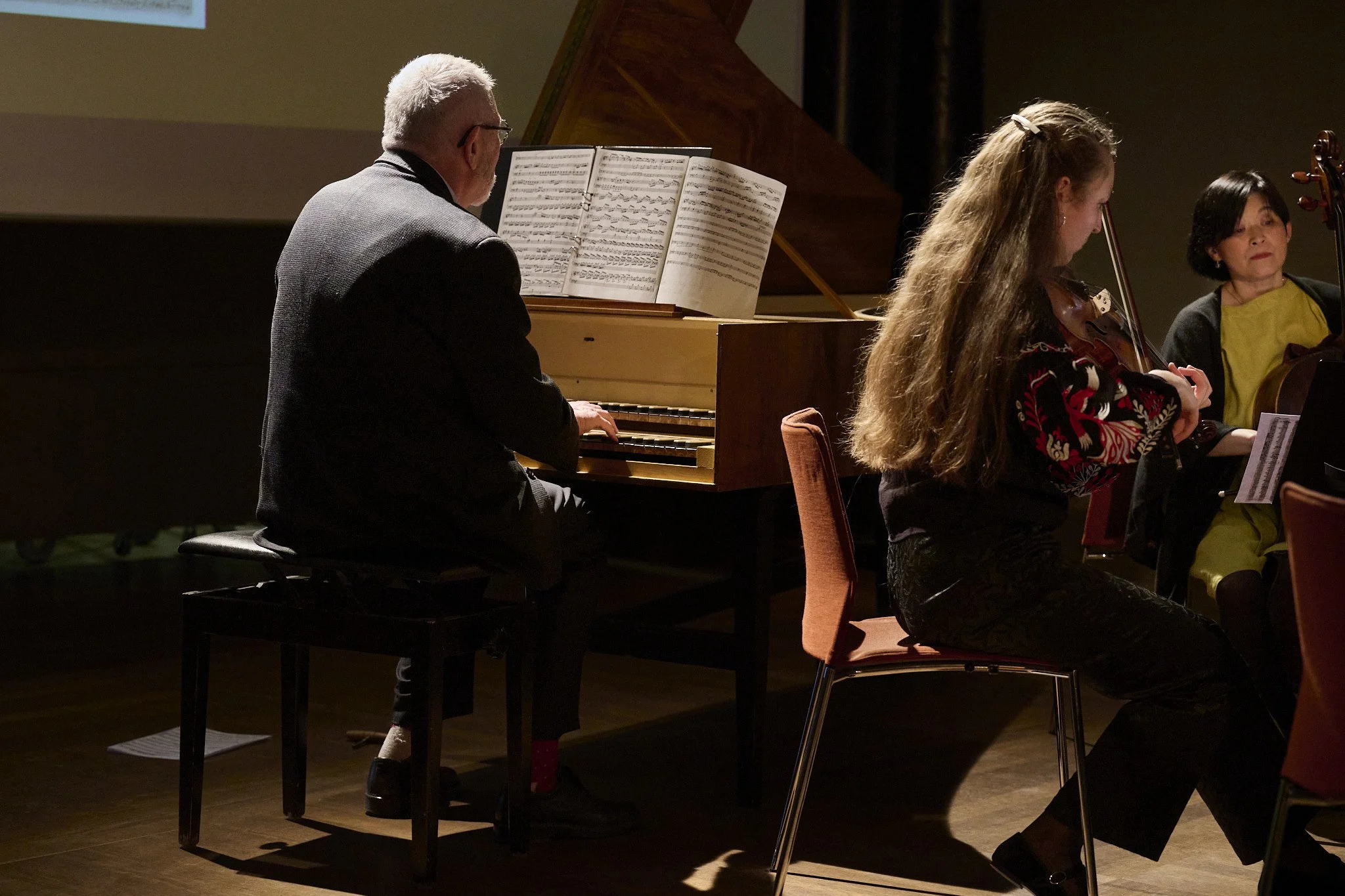 newhistoriskakarlin 6.jpg