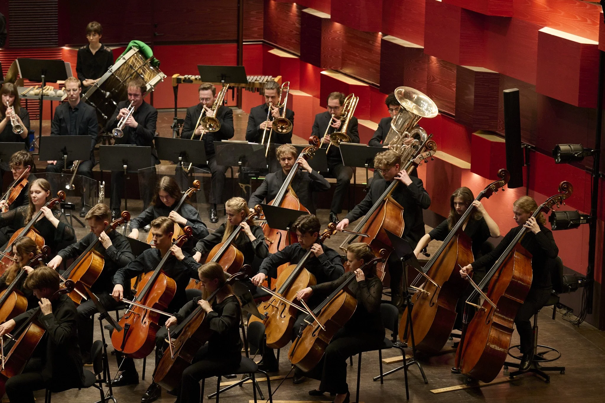 kmhfinalkarlin 6.jpg