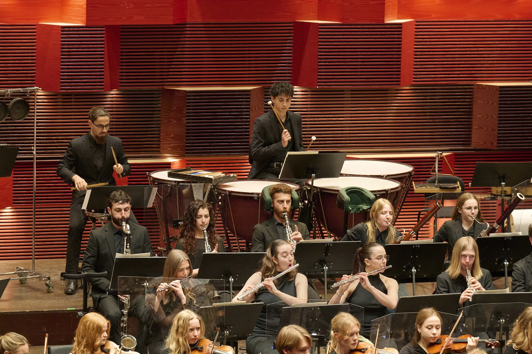 kmhfinalkarlin 9.jpg