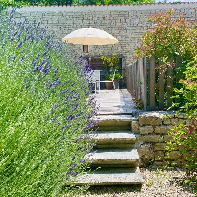 Lavendare step to pool 2024.jpg