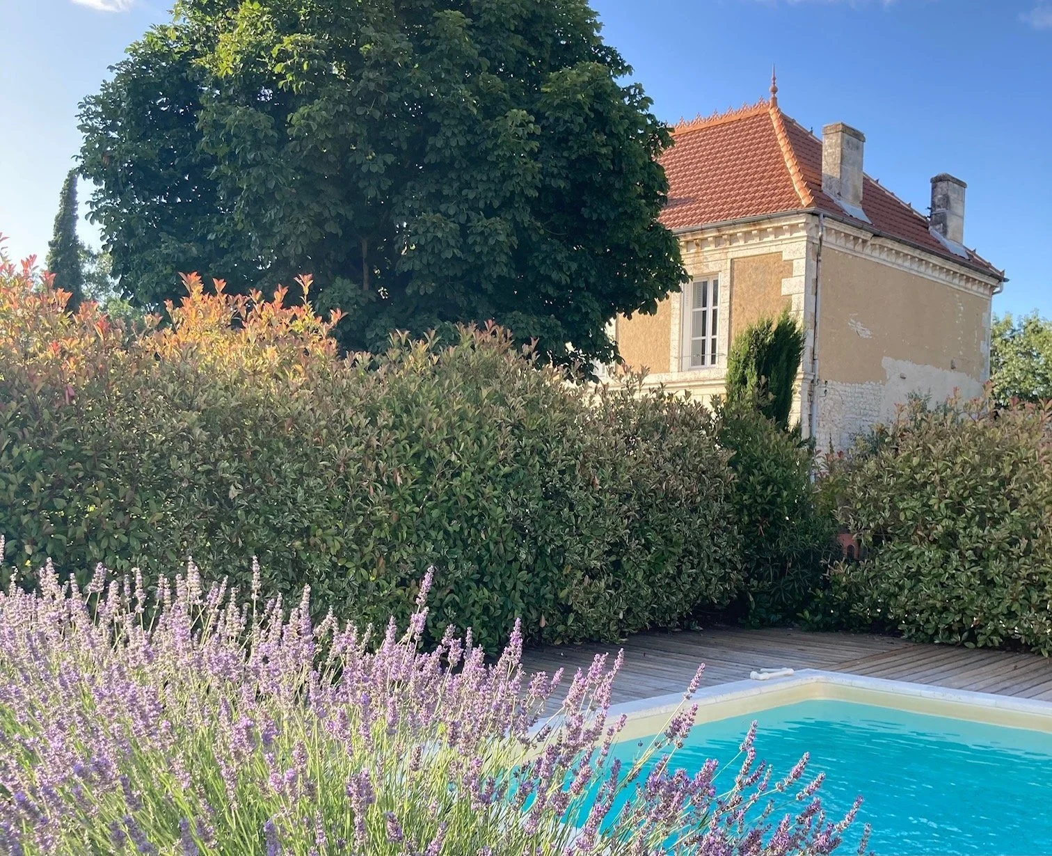 Pool House Lavendar.jpg