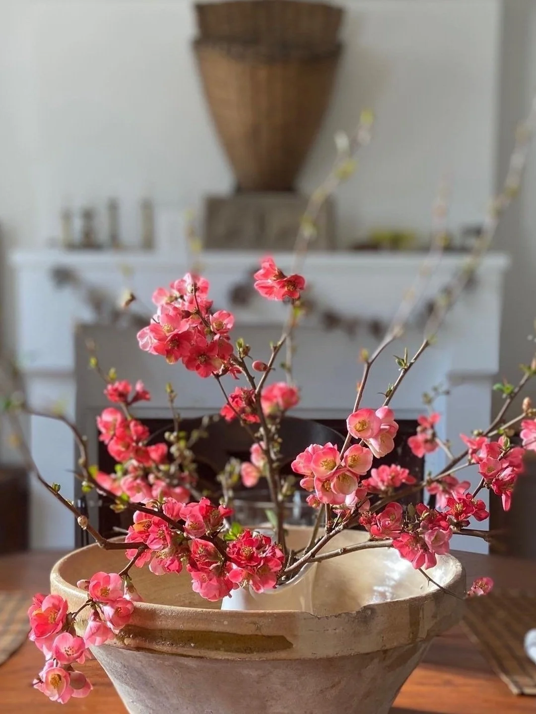 Quince Blossoms in Dining Room.jpg