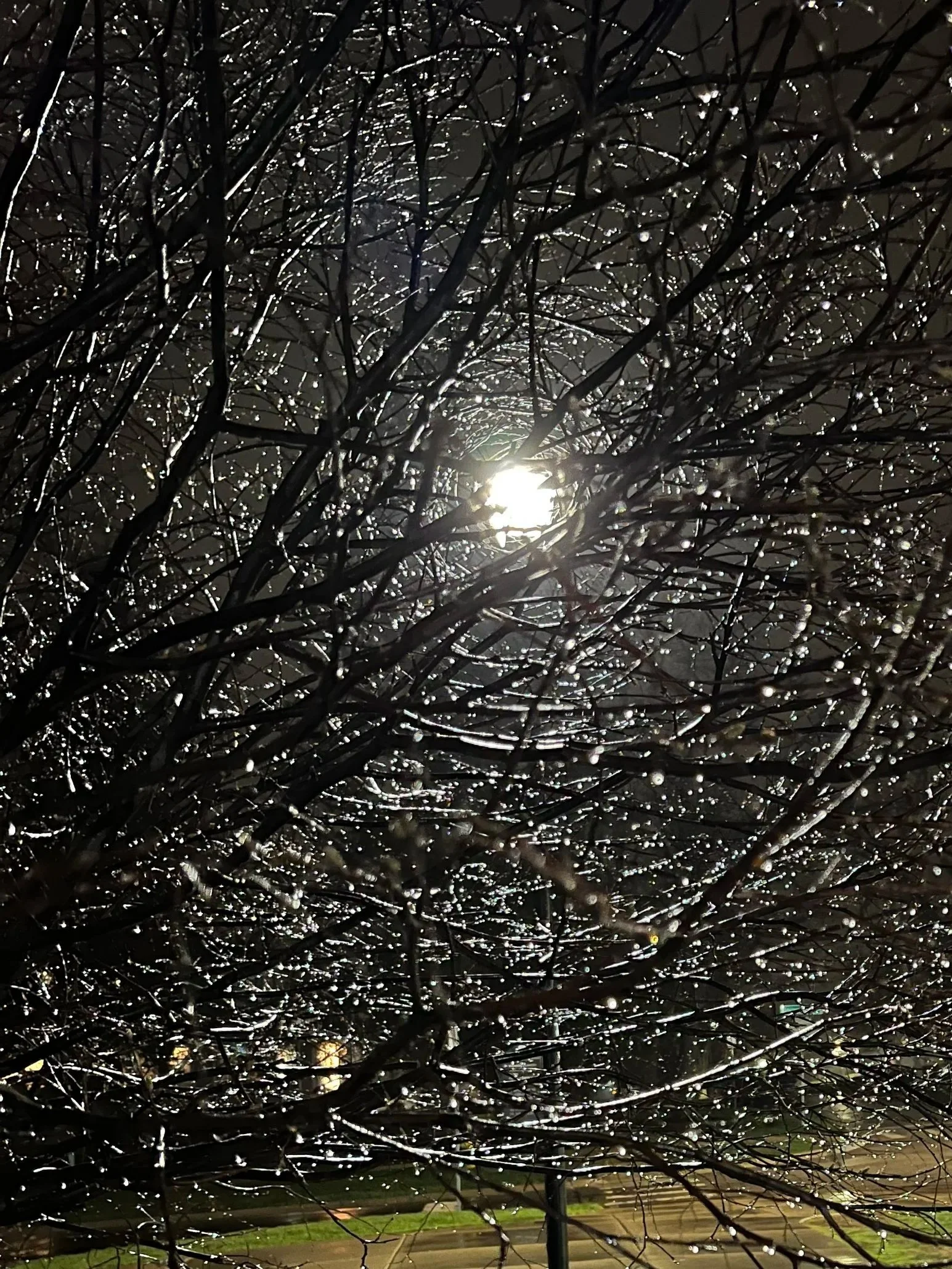 2025 Winter Poetry Workshop