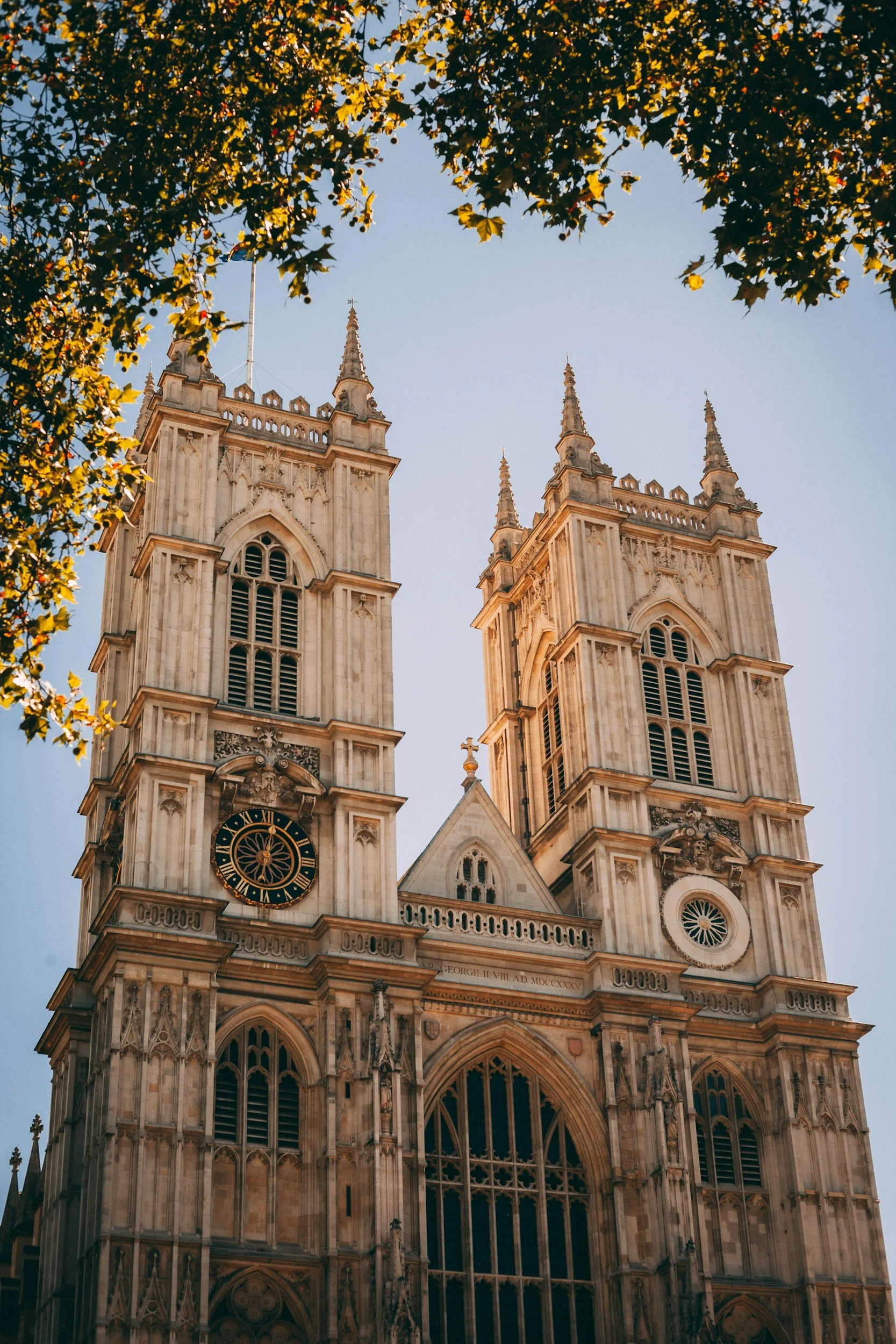 Gothic-style cathedral with two tall towers, clock, and ornate architecture, framed by tree branches at the top.