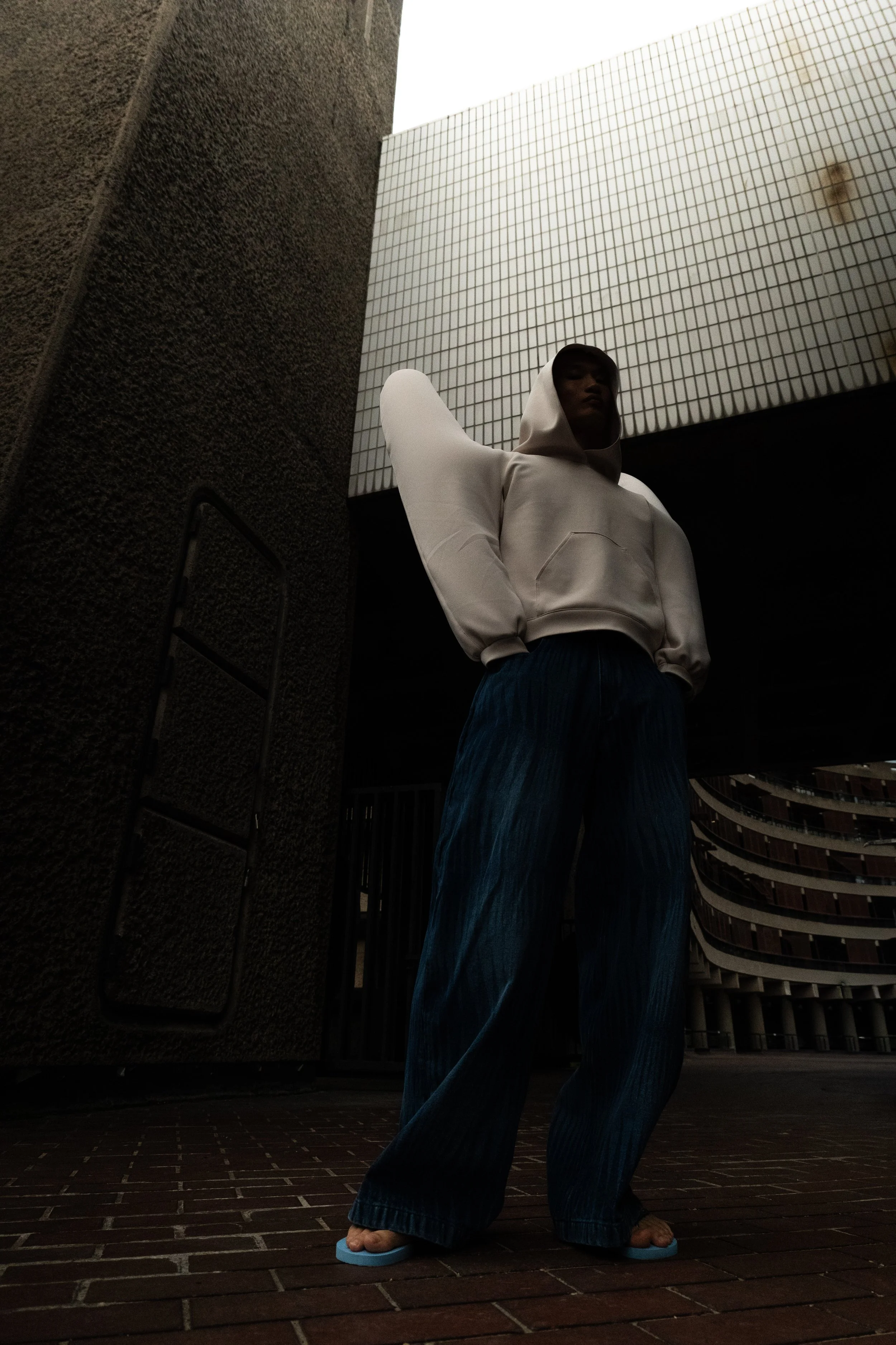 Copy of DIMA-HARRI17.jpg