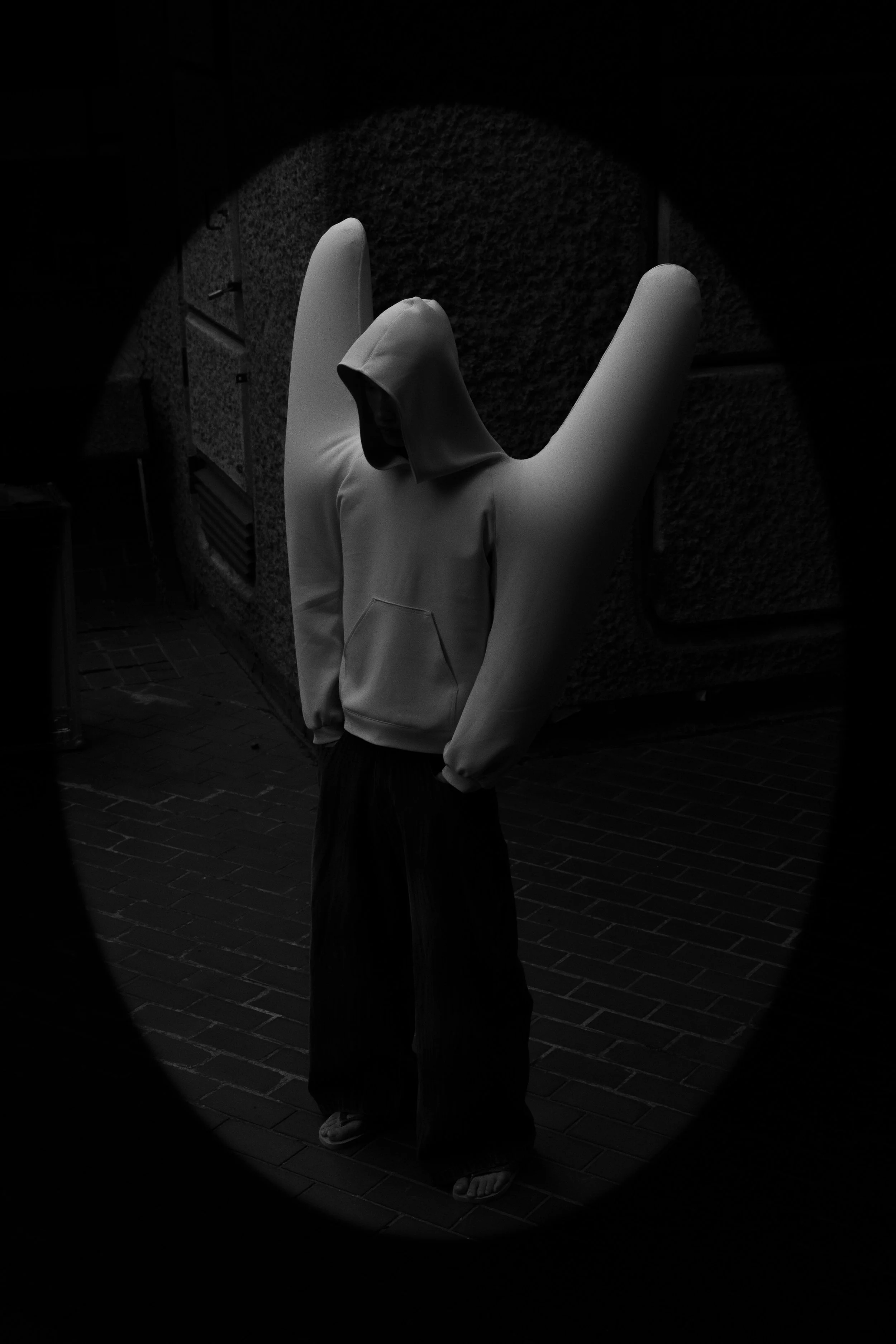 Copy of DIMA-HARRI19.jpg