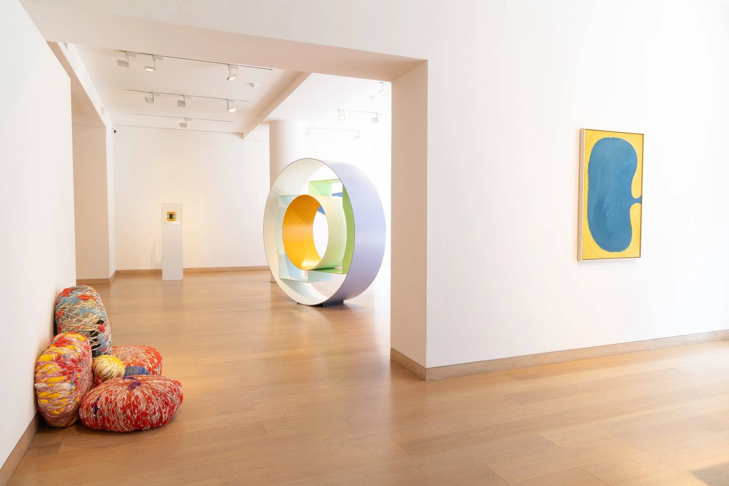 The Shape of Colour - Waddington Custot