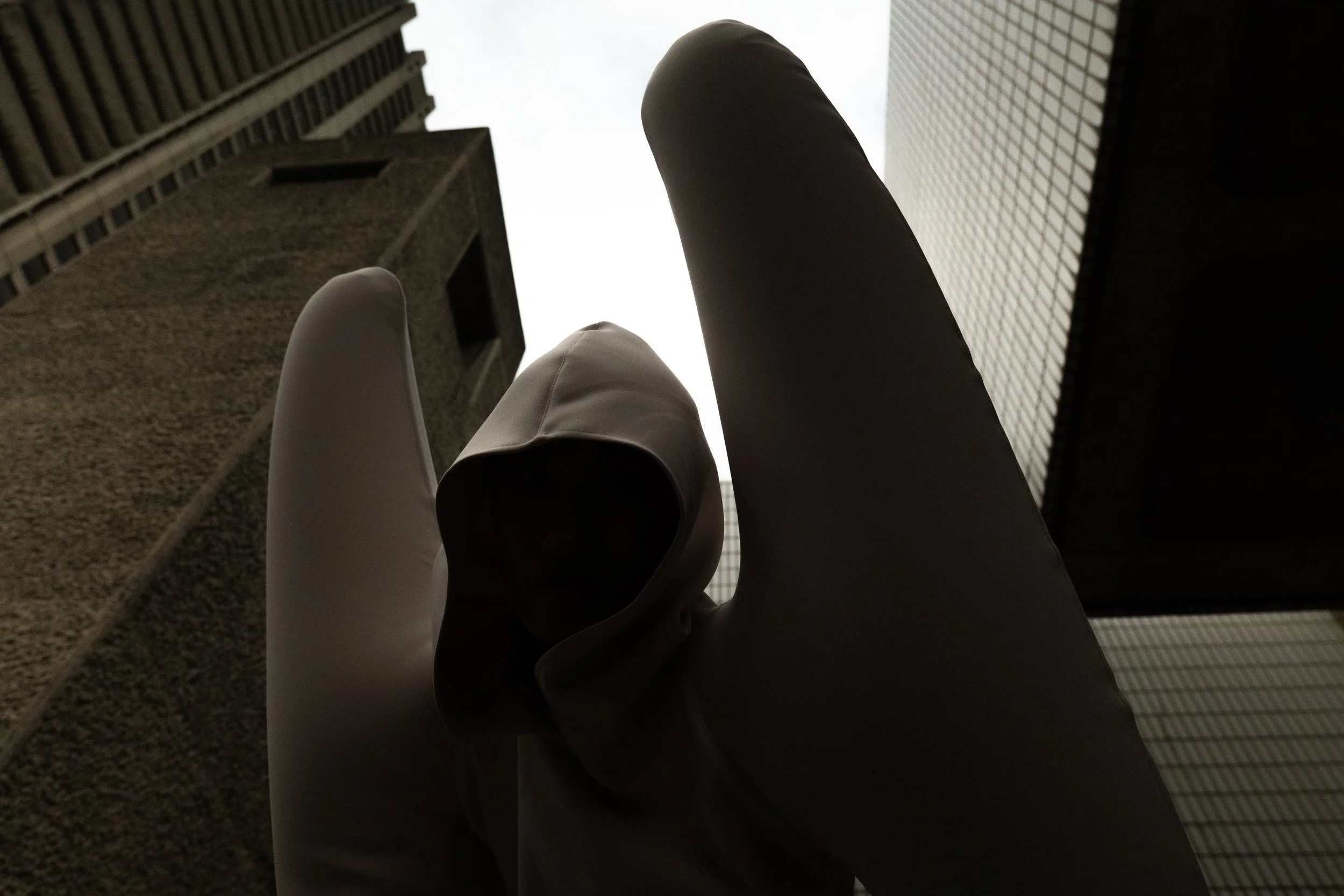 Copy of DIMA-HARRI16.jpg