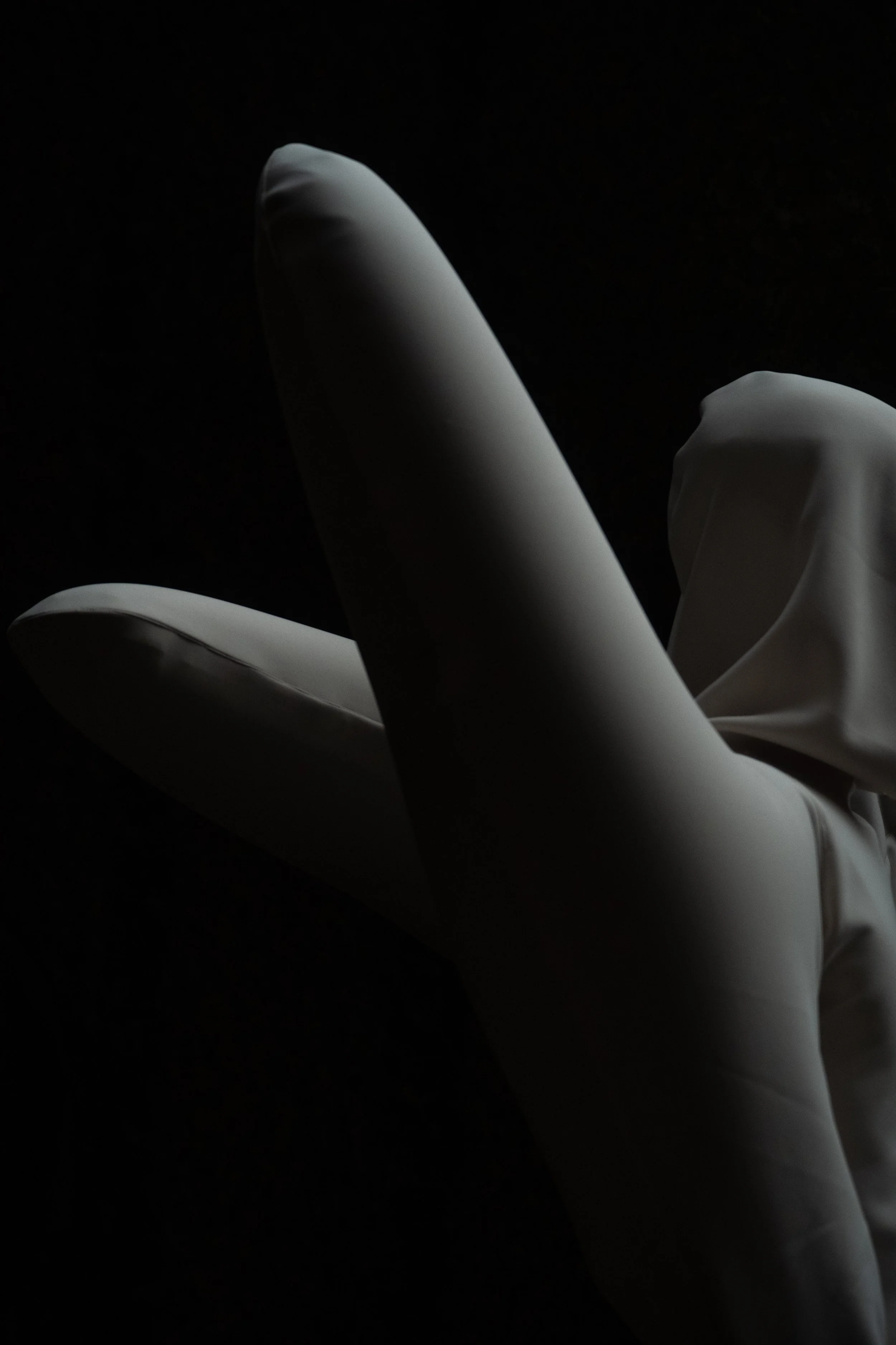 Copy of DIMA-HARRI3.jpg