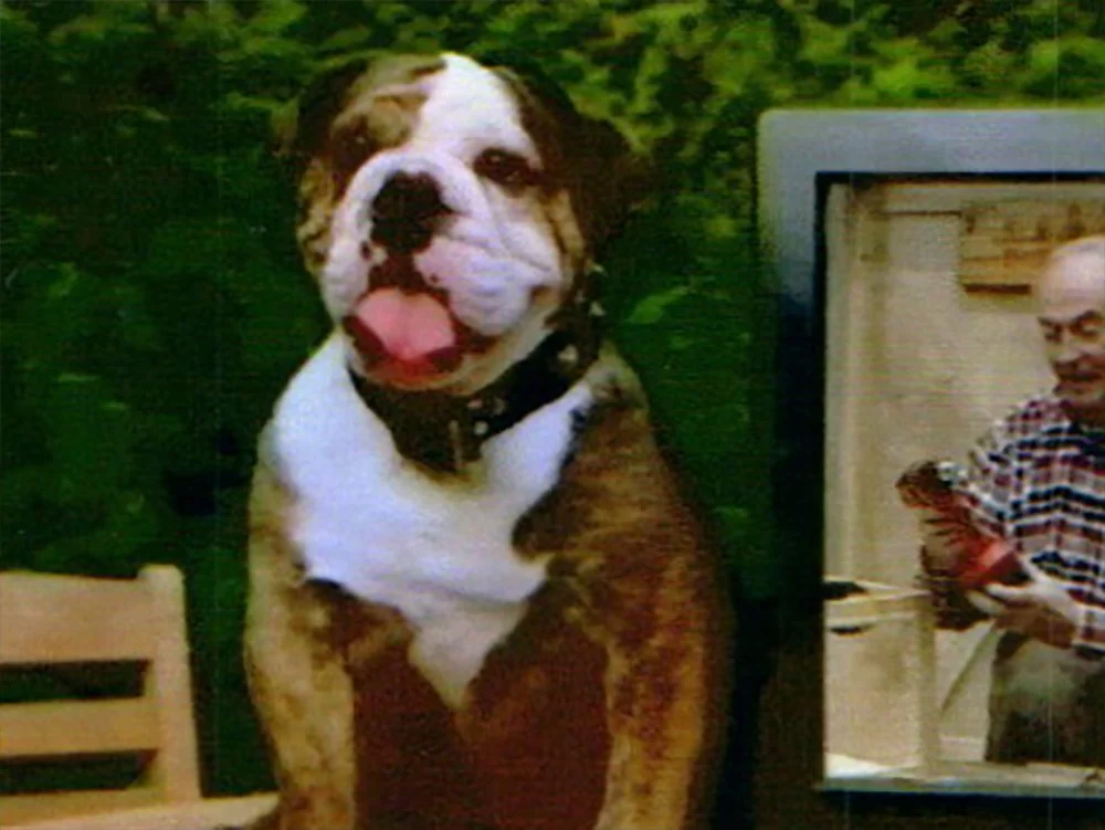 04.jpg