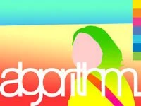 FlyerAlgorithm4.jpg
