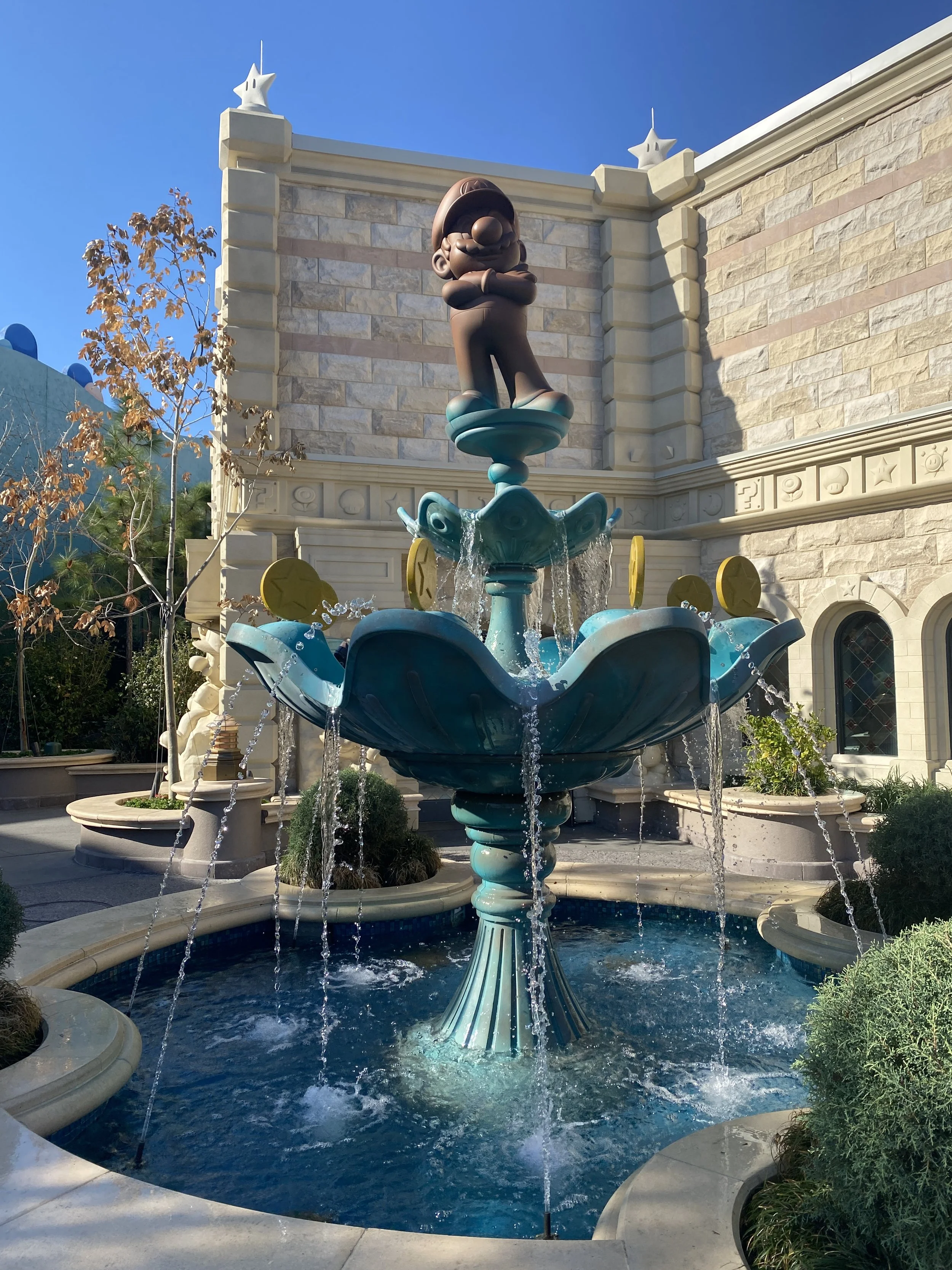 Photo Feb 13 2026, 9 46 46 AM.jpg