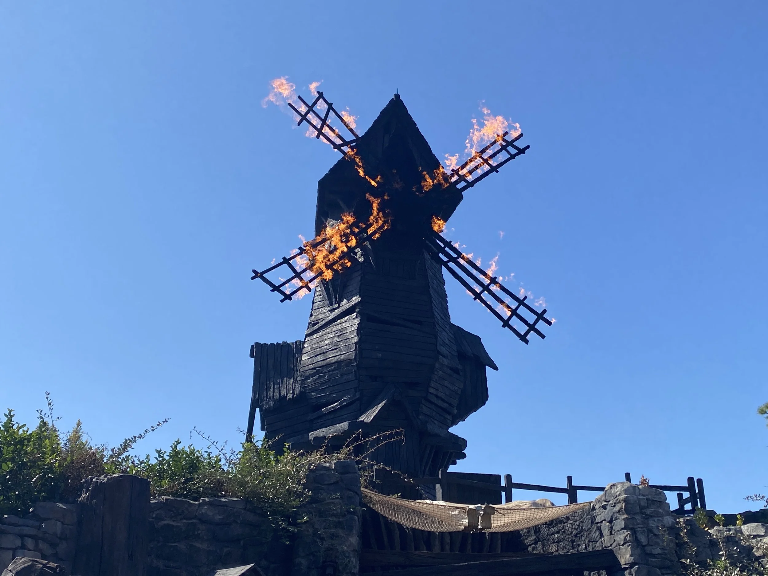 Photo Feb 13 2026, 11 07 33 AM.jpg