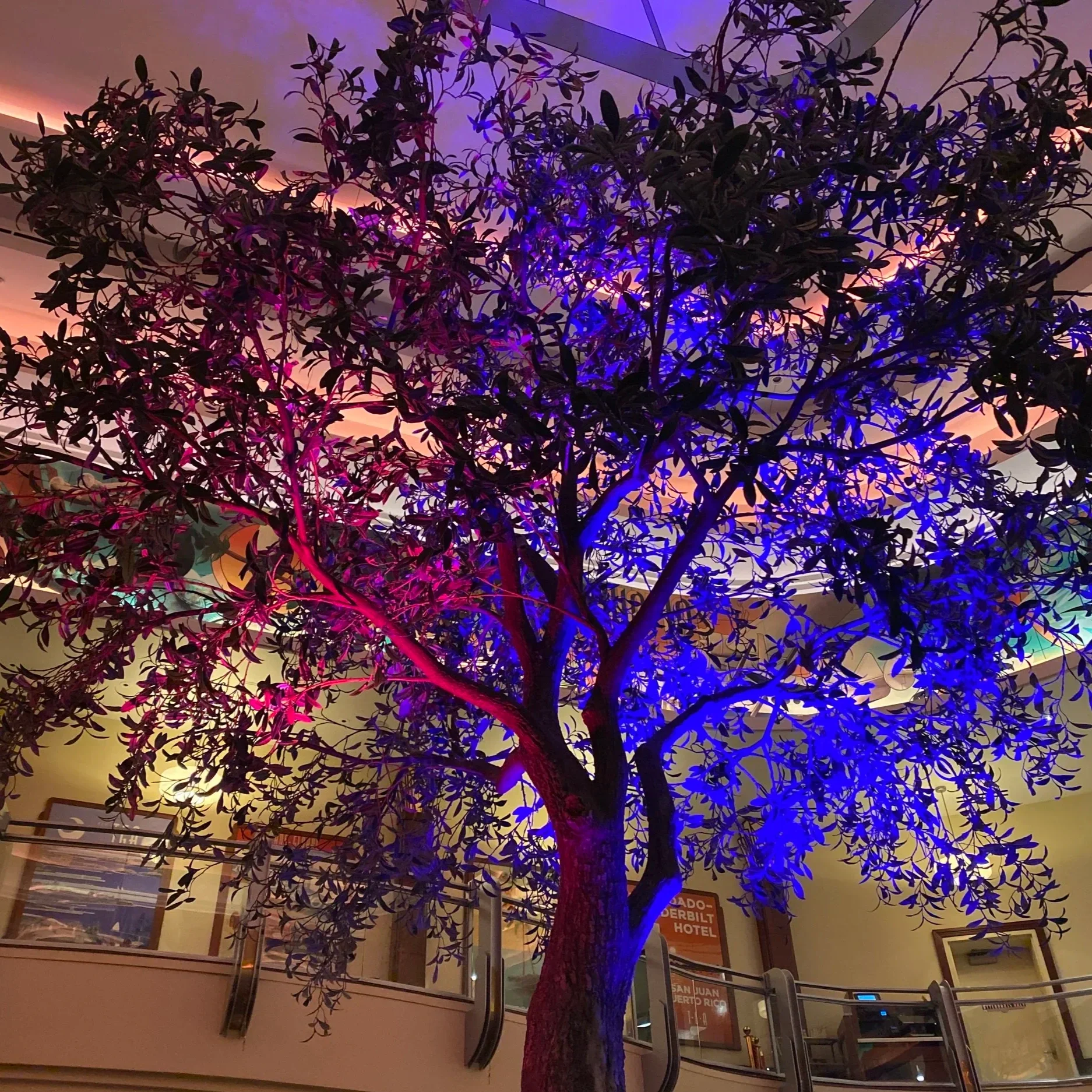 Maria &amp; Enzo’s