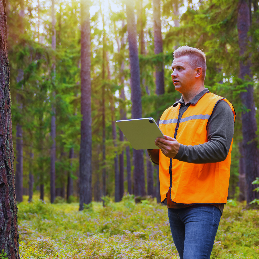 Transforming Data into Impactful Stories.