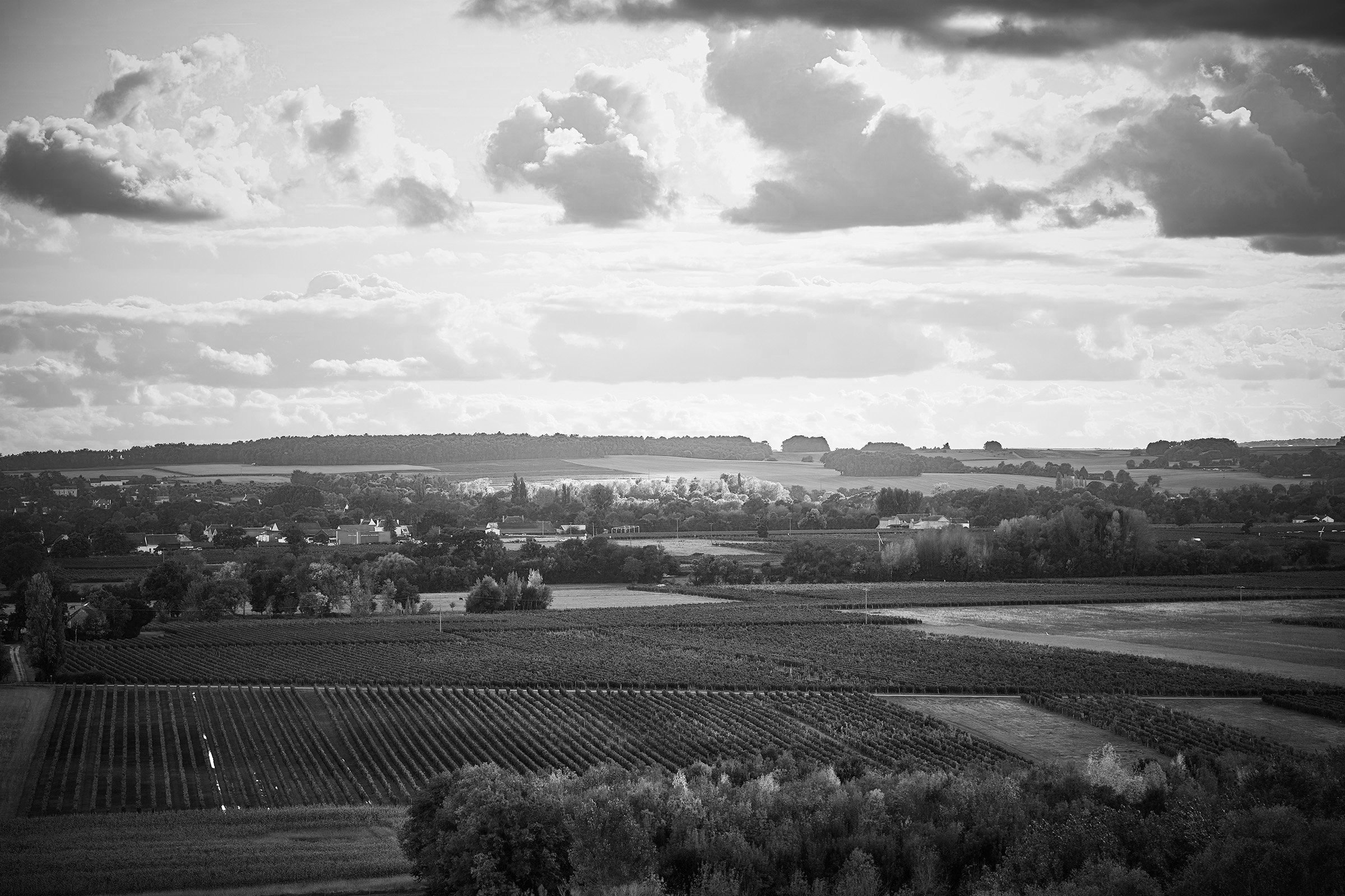 _10A5853.jpg