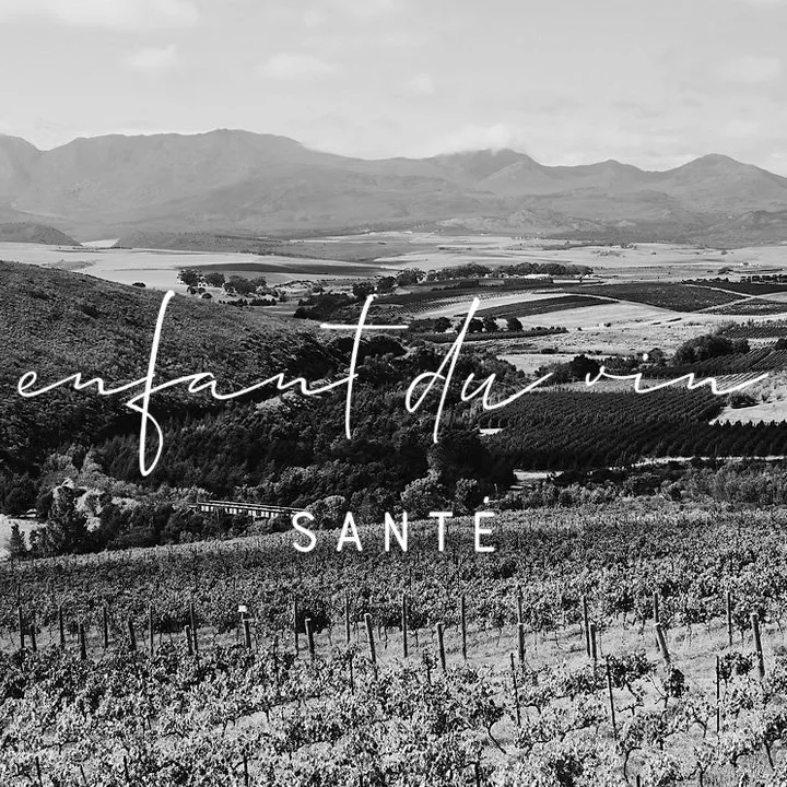 Enfant du vin, notre partenaire en Allemagne