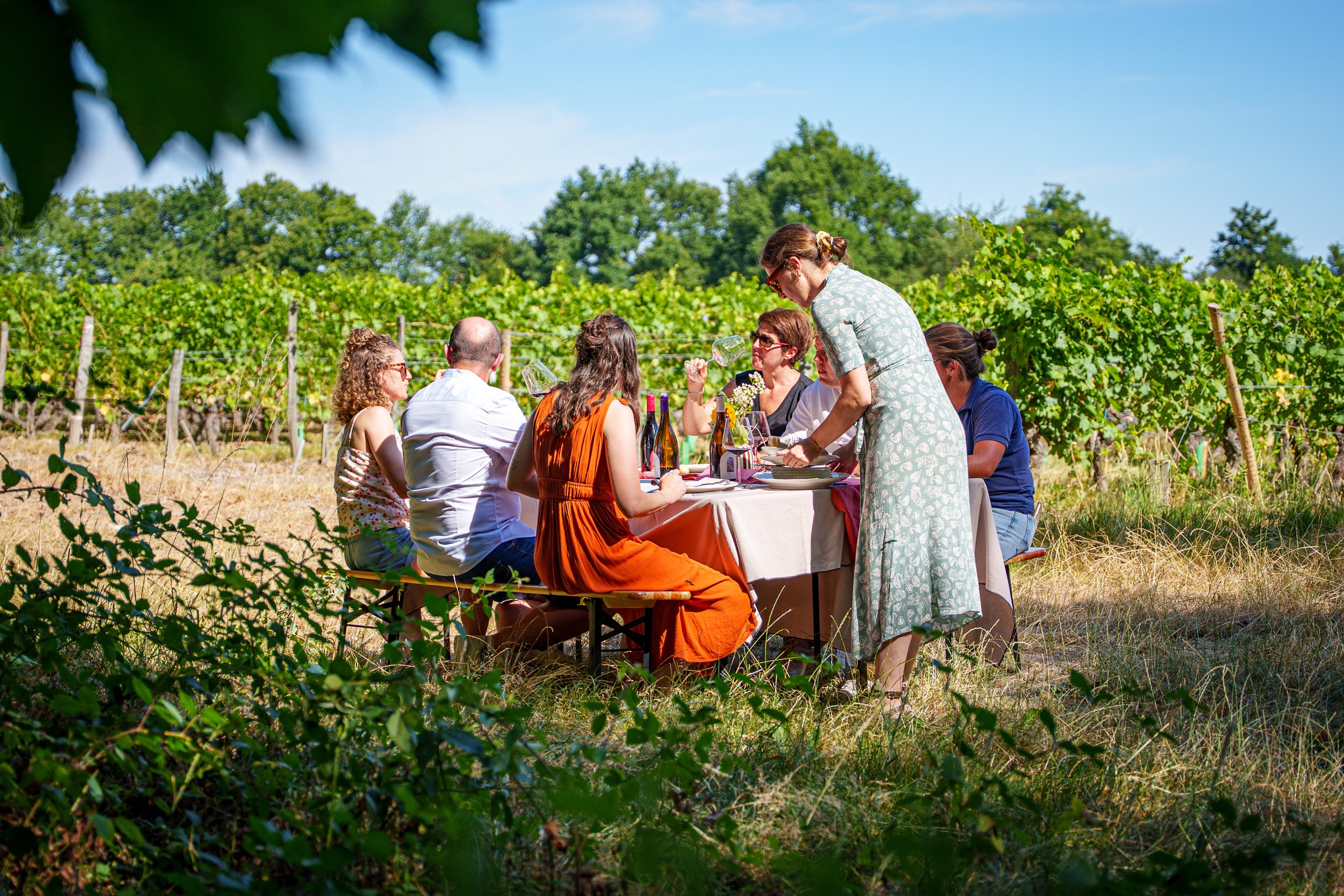 DOMAINE-DE-LA-CHAPELLE-PIXIM-CHRISTOPHE-GAGNEUX_DSC5113.jpg