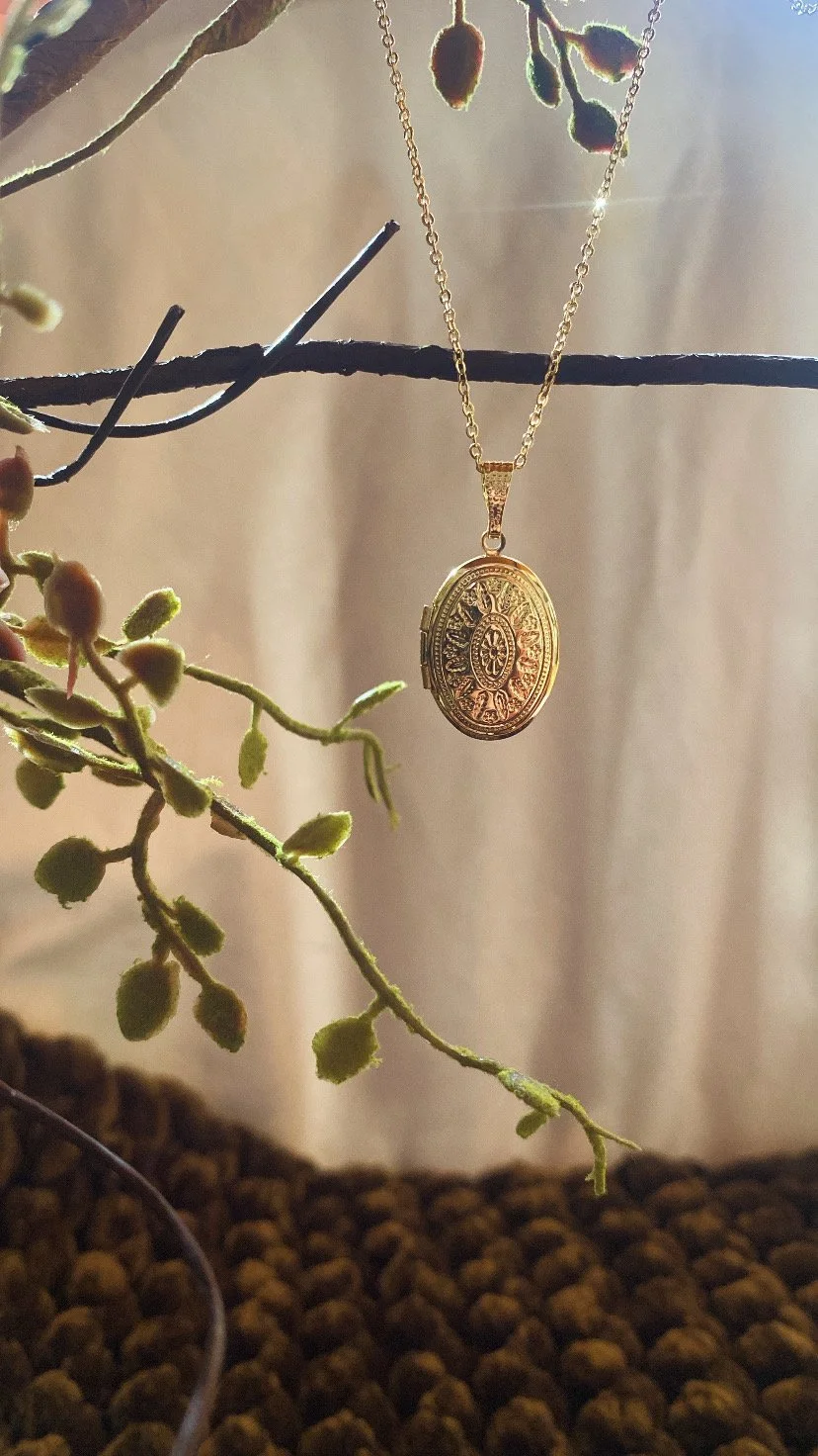 Besotted Soul Locket Necklace