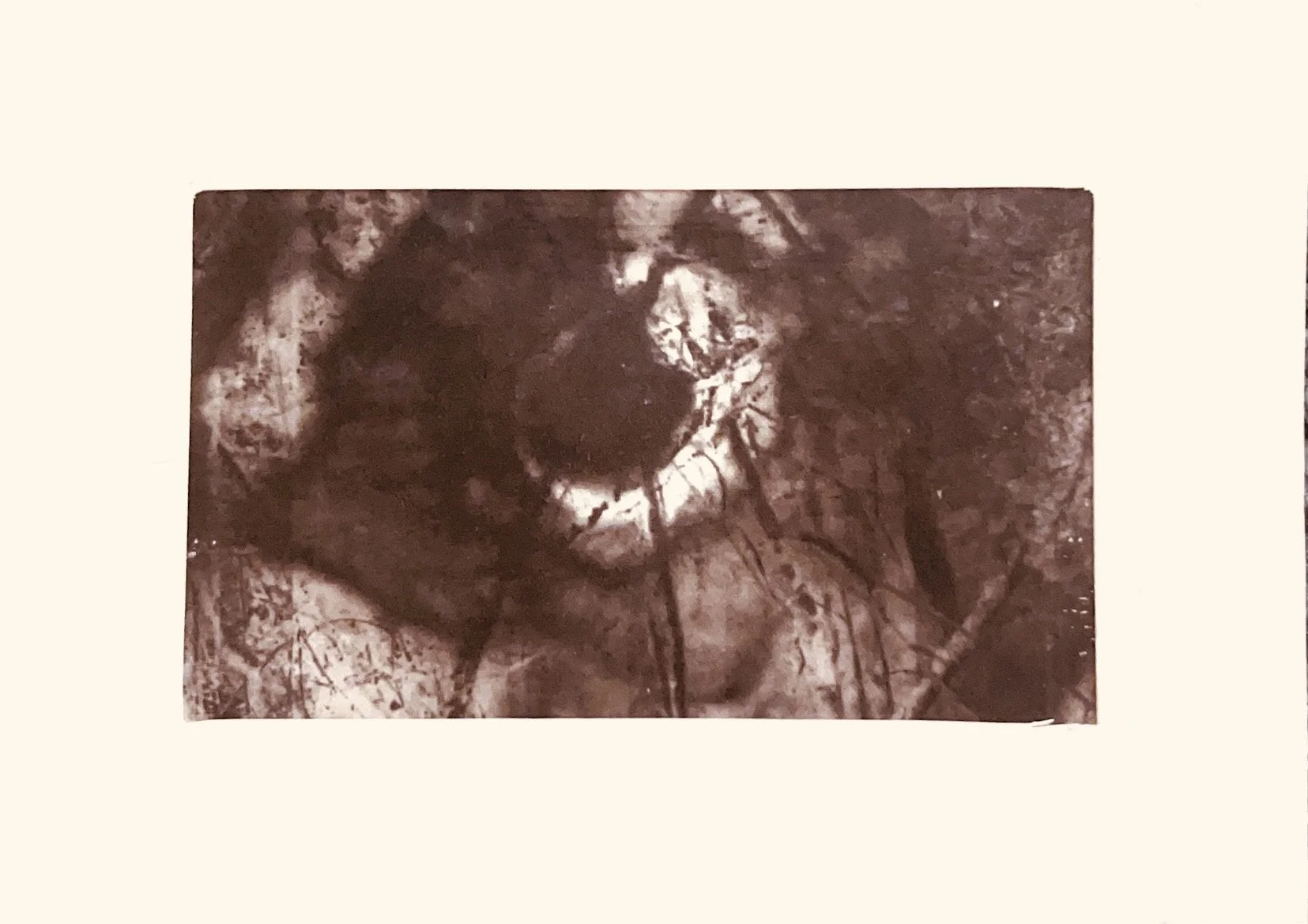 A Present Absence of Human Nature