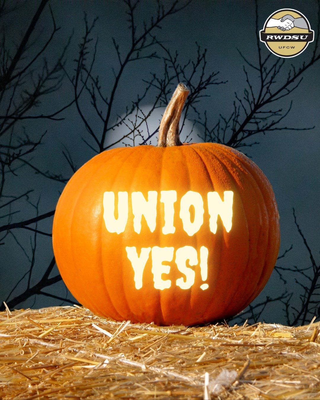 Happy National Pumpkin Day! 🎃✨
Whether you&rsquo;re carving a masterpiece with the kids or just trying to survive the sticky mess, today is all about celebrating the season.
At work, we&rsquo;re always looking for ways to "carve out" bette