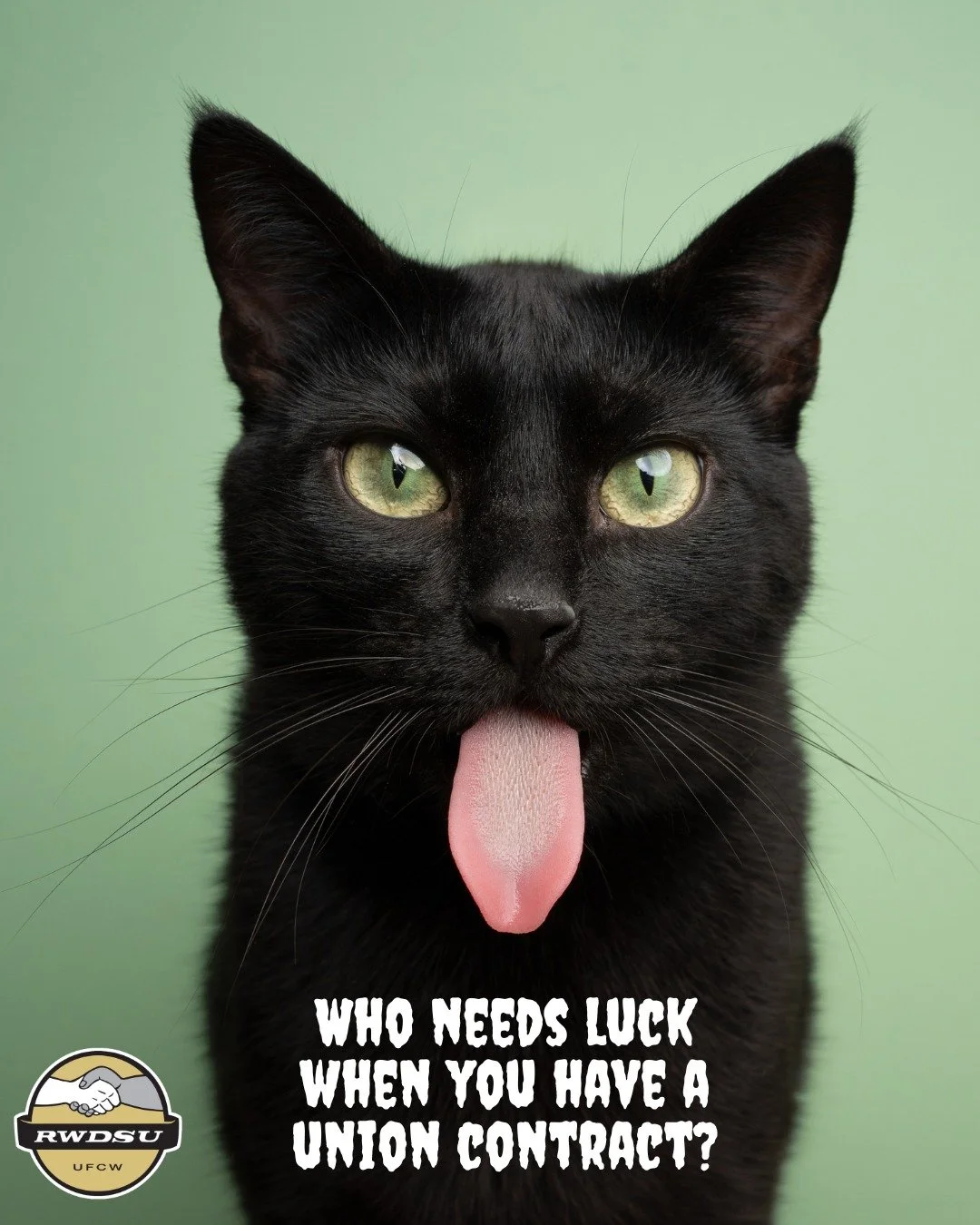 Happy National Black Cat Day! 🐈&zwj;⬛🖤
Some people think black cats are bad luck, but we don't believe in superstitions. In fact, we don't think workers should have to rely on "luck" at all when it comes to their livelihood.
You shouldn't