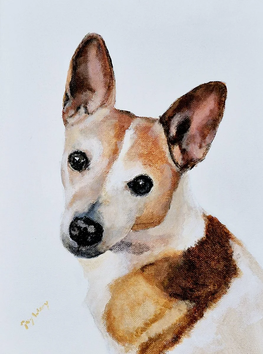 Ricon. Jack Russell