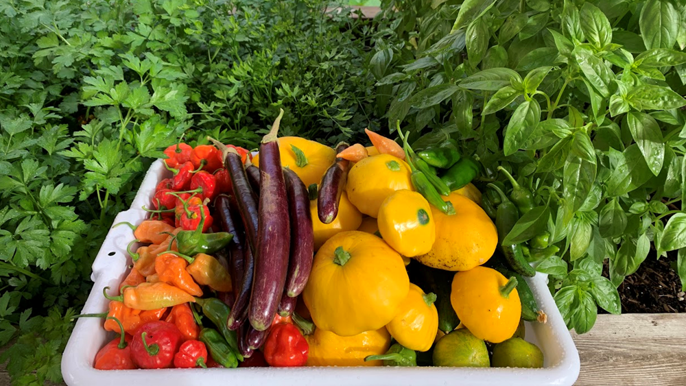 Our Impact — Sifton Family Foundation