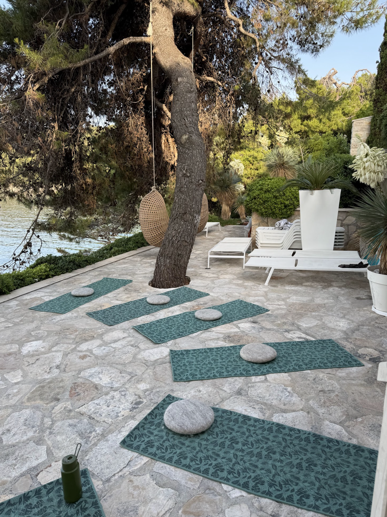 Screenshot 2026-02-25 at 3.14.12 pm.png