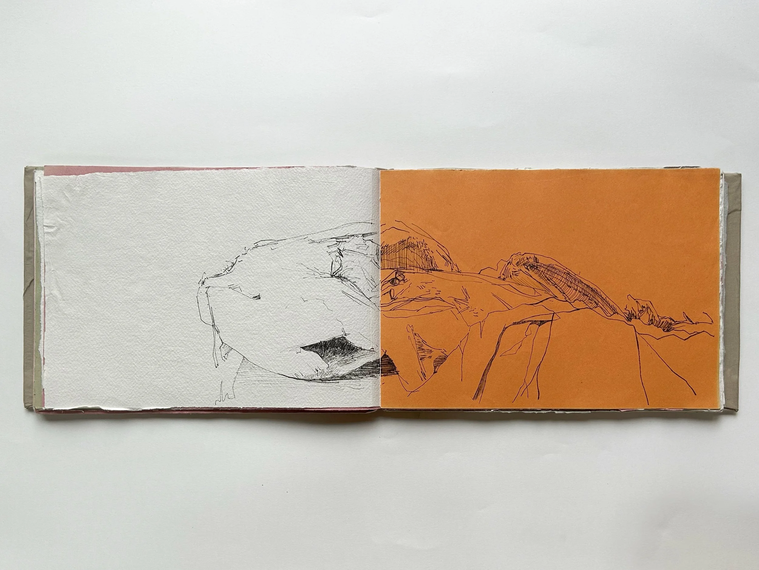 Rowan Briggs Smith, Anatomy Sketchbook, 31 x 21 cm, 2025