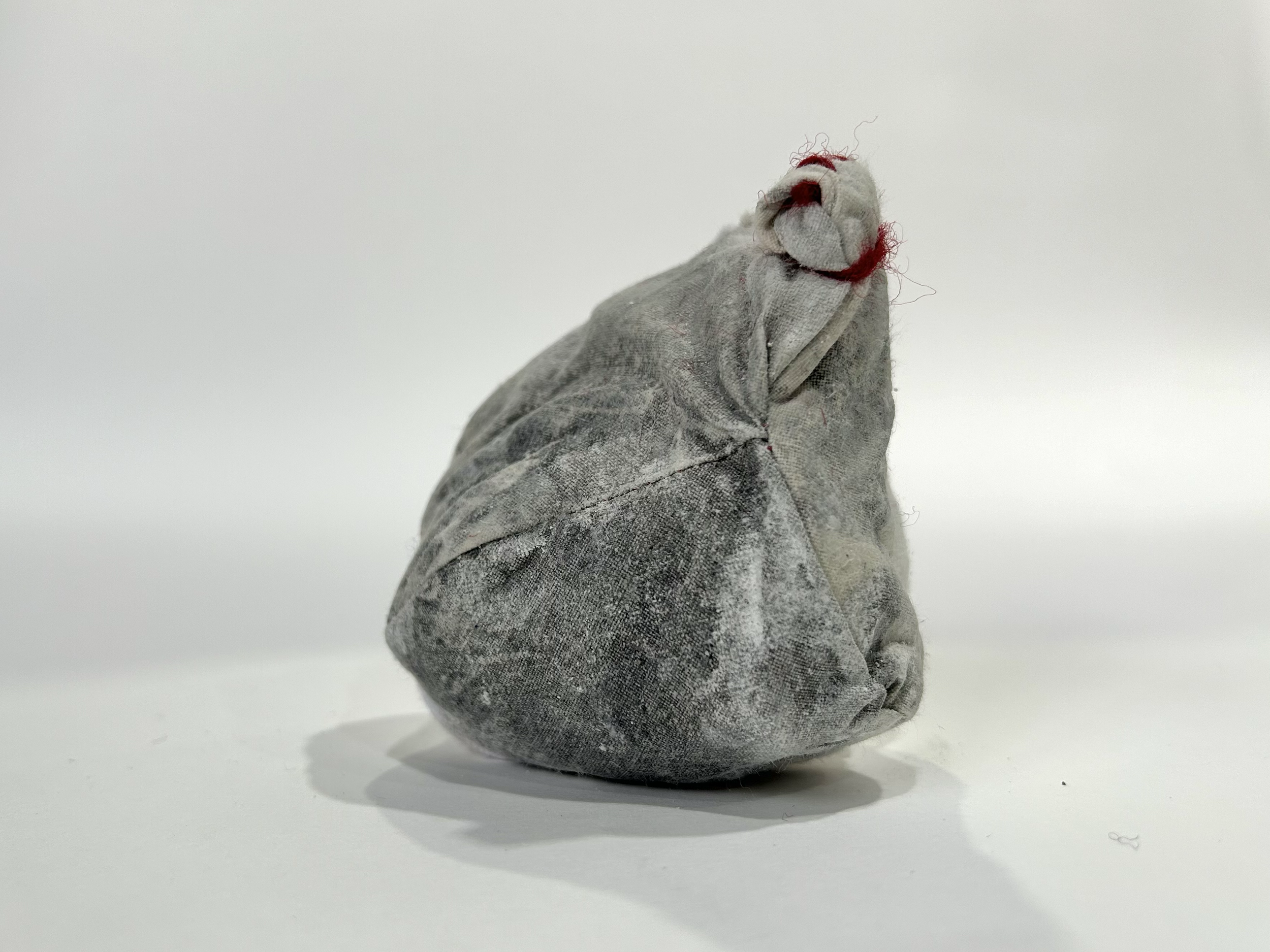 Calico coated in Liquid Light photographic emulsion, exposed, sewn, filled with plaster and lead