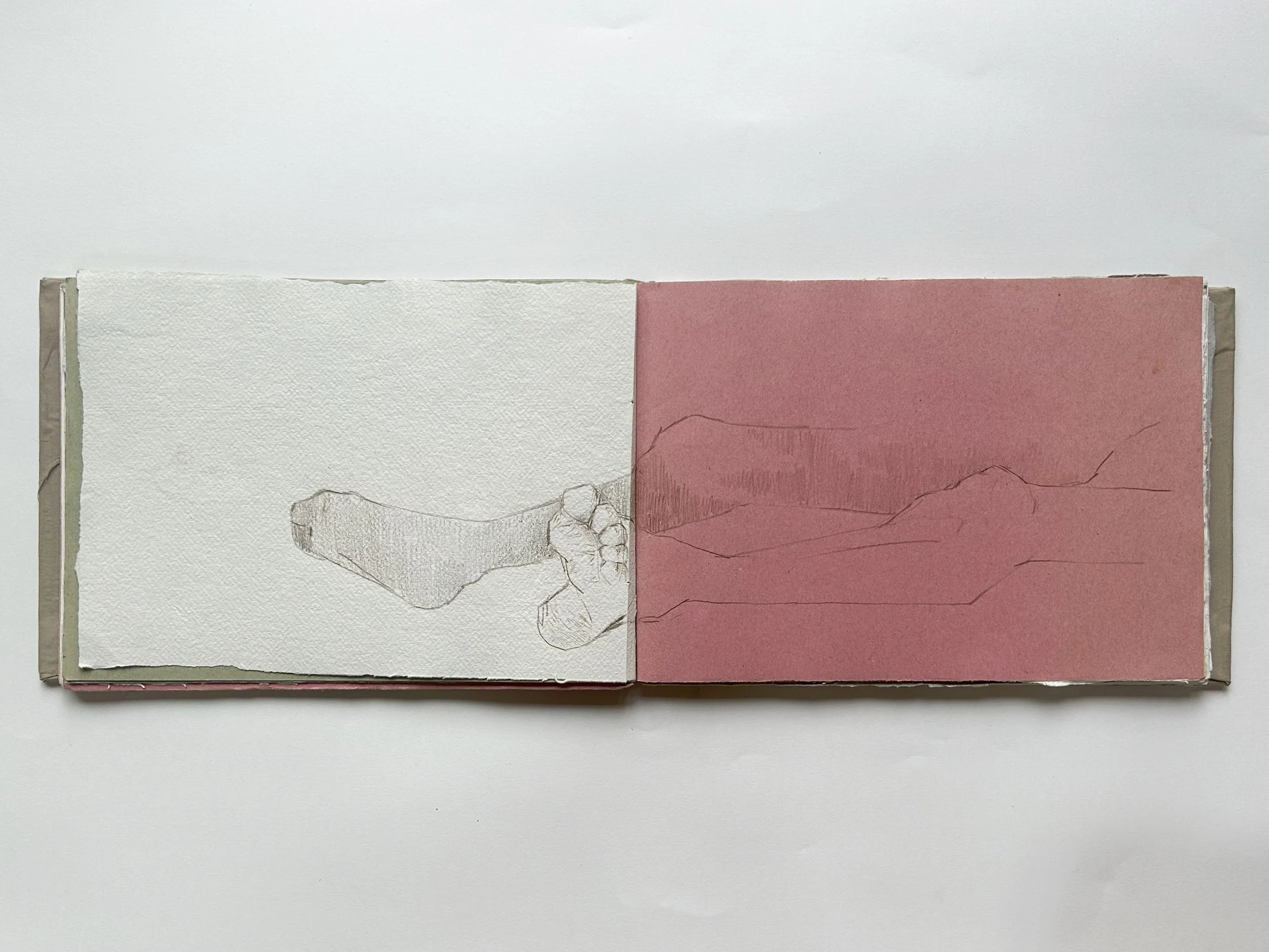 Rowan Briggs Smith, Anatomy Sketchbook, 31 x 21 cm, 2025