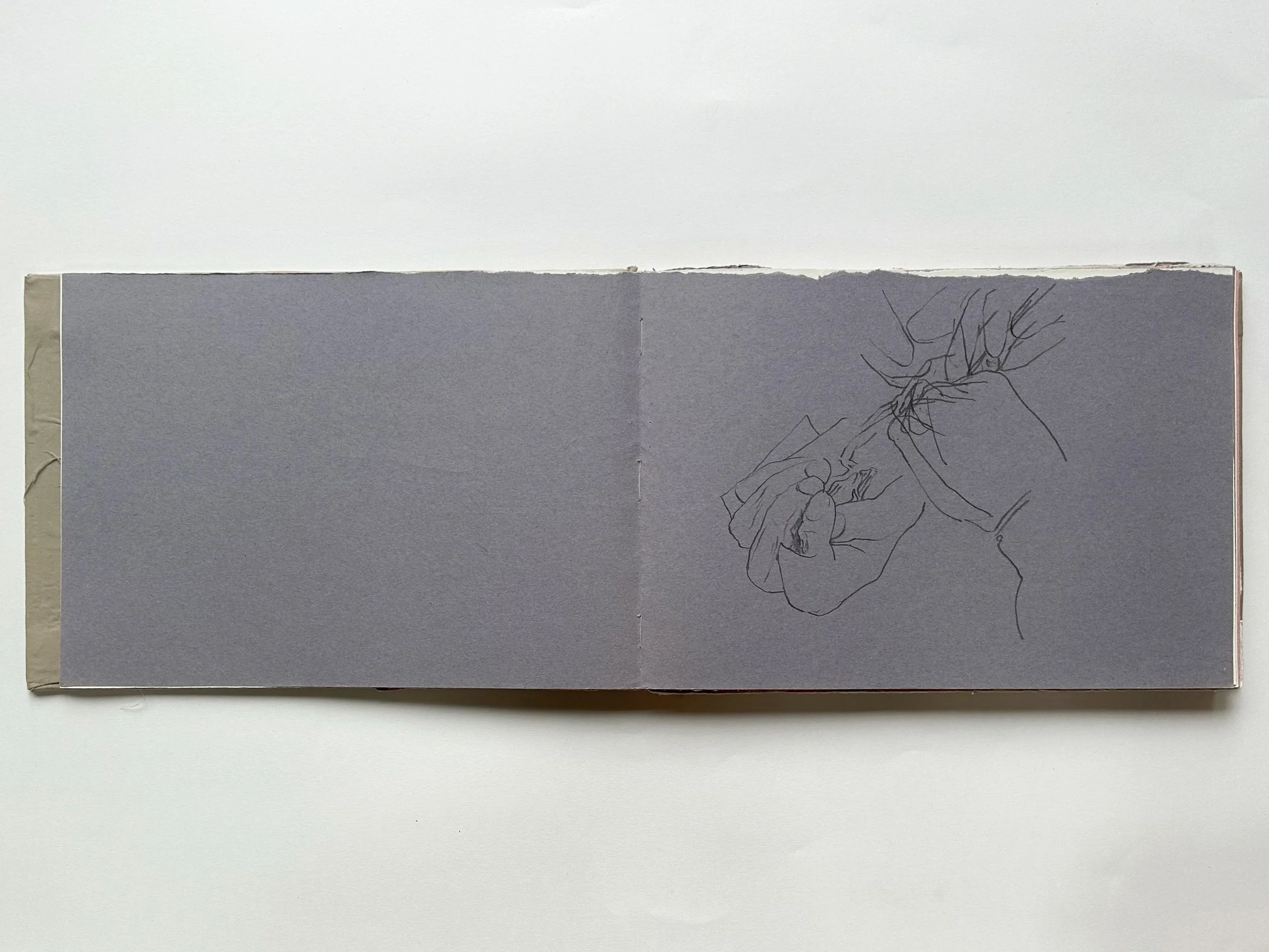 Rowan Briggs Smith, Anatomy Sketchbook, 31 x 21 cm, 2025