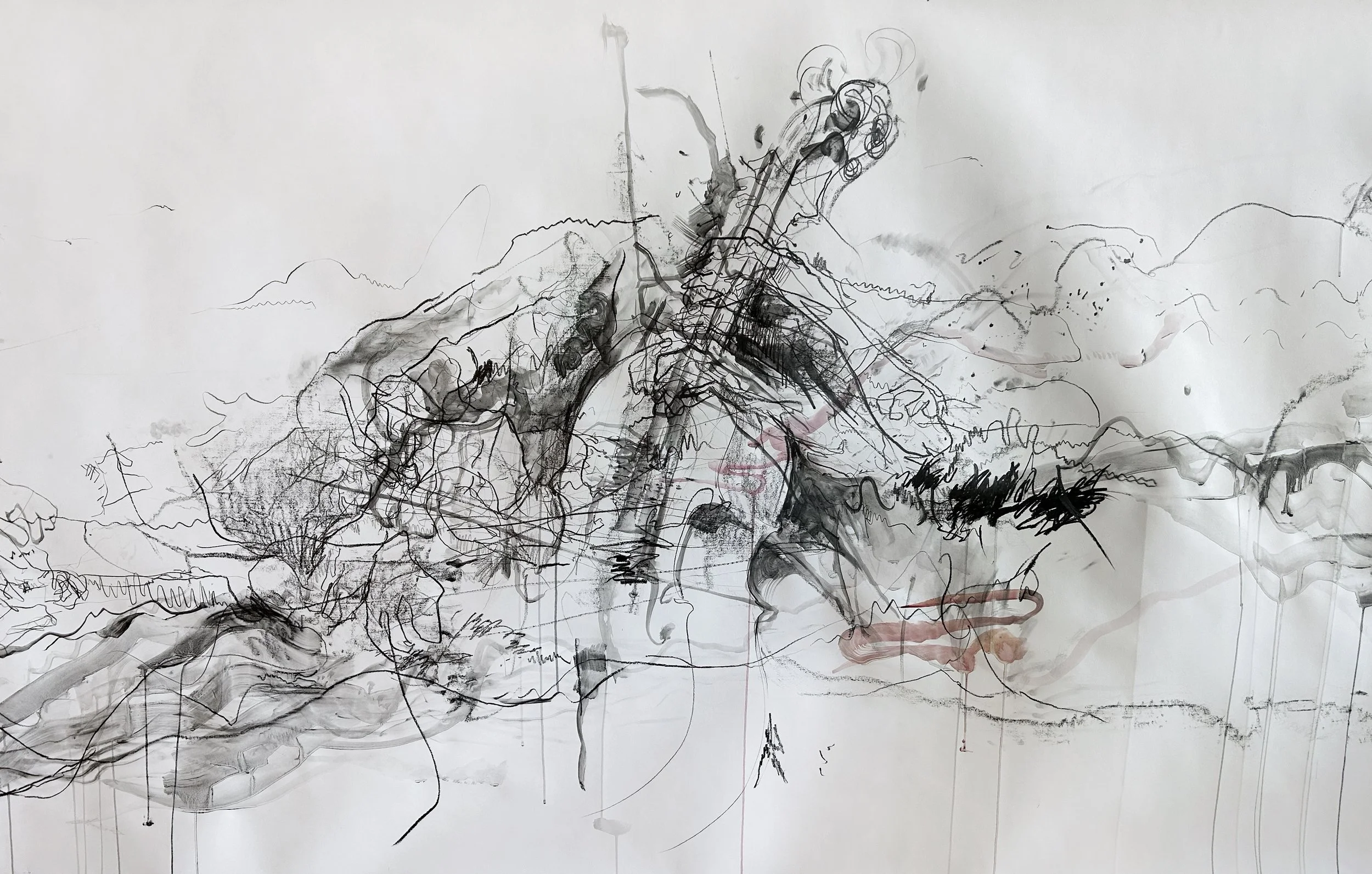 DETAIL FROM: TRANSLATIONS, water-soluble graphite and watercolour on paper, 150 × 600 cm, 2025