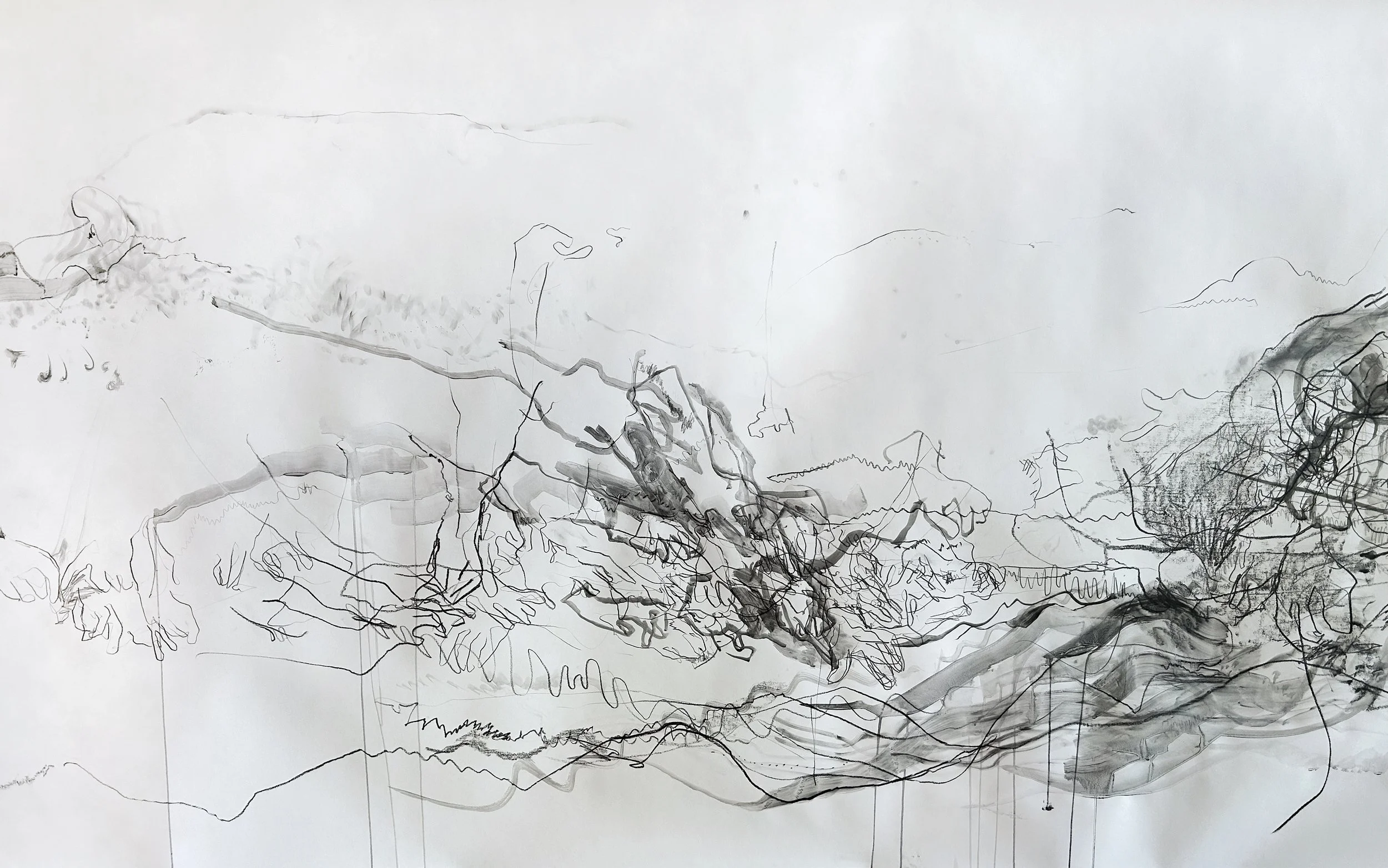 DETAIL FROM: TRANSLATIONS, water-soluble graphite and watercolour on paper, 150 × 600 cm, 2025