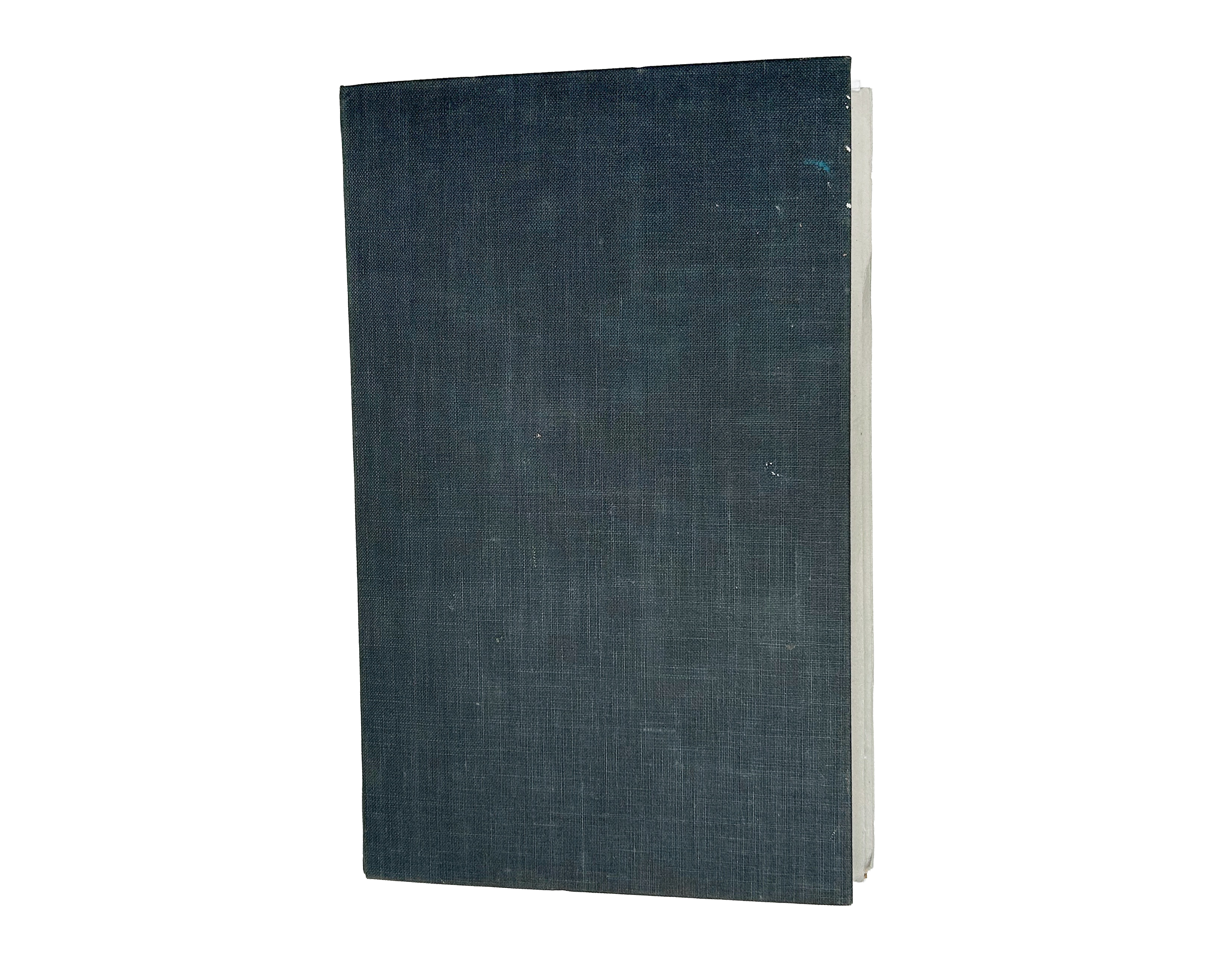 Rowan Briggs Smith, Wool Trade, 24 x 22.5 cm, 2025