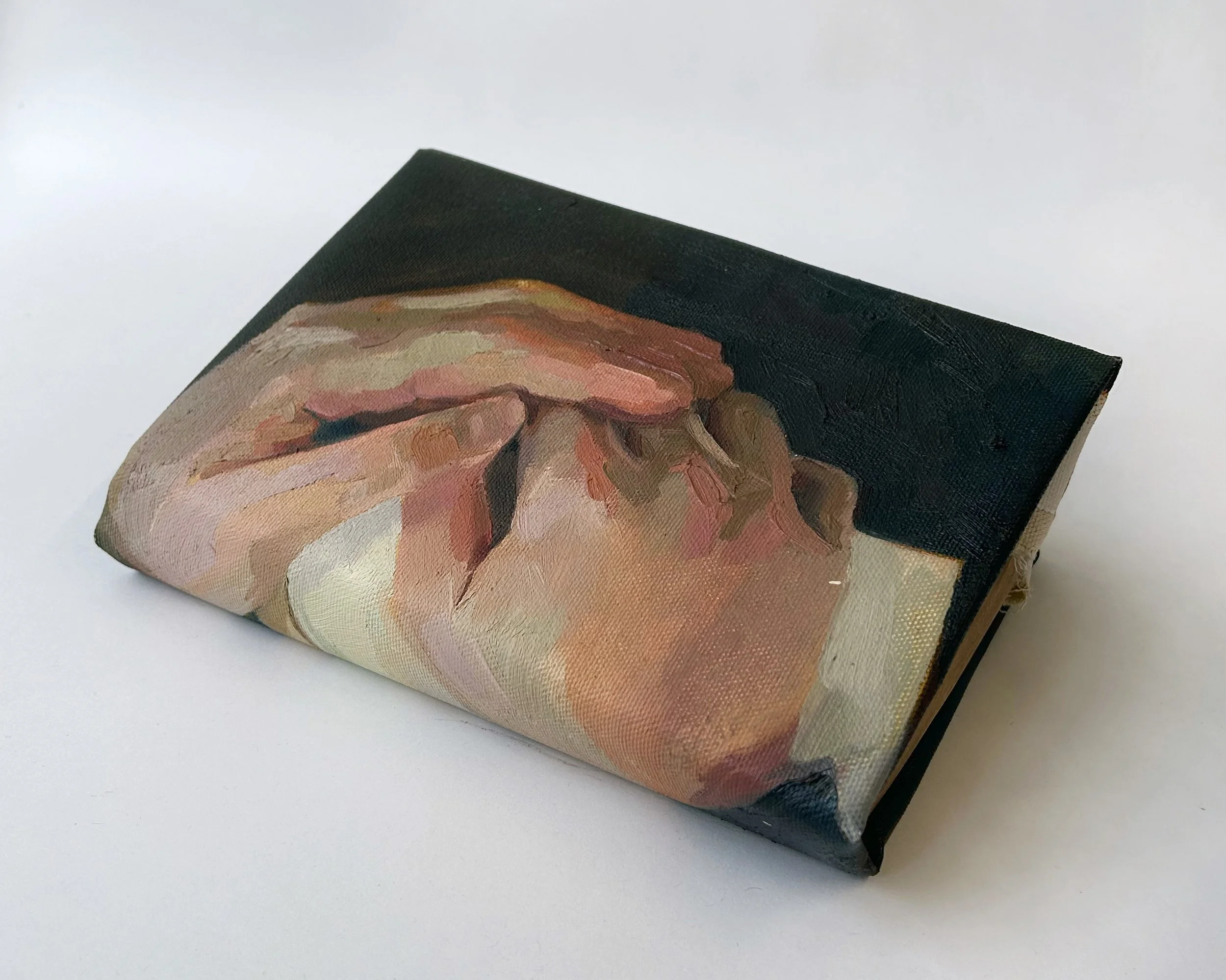 Holding The Book That's Lost Its Cover, Iteration 2, oil on canvas, book block, 23 x 15 cm, 2024