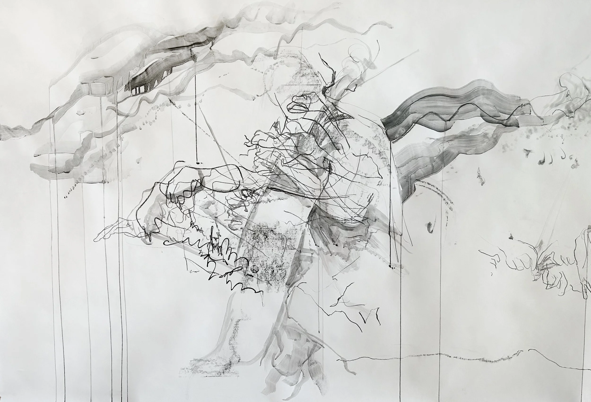 DETAIL FROM: TRANSLATIONS, water-soluble graphite and watercolour on paper, 150 × 600 cm, 2025