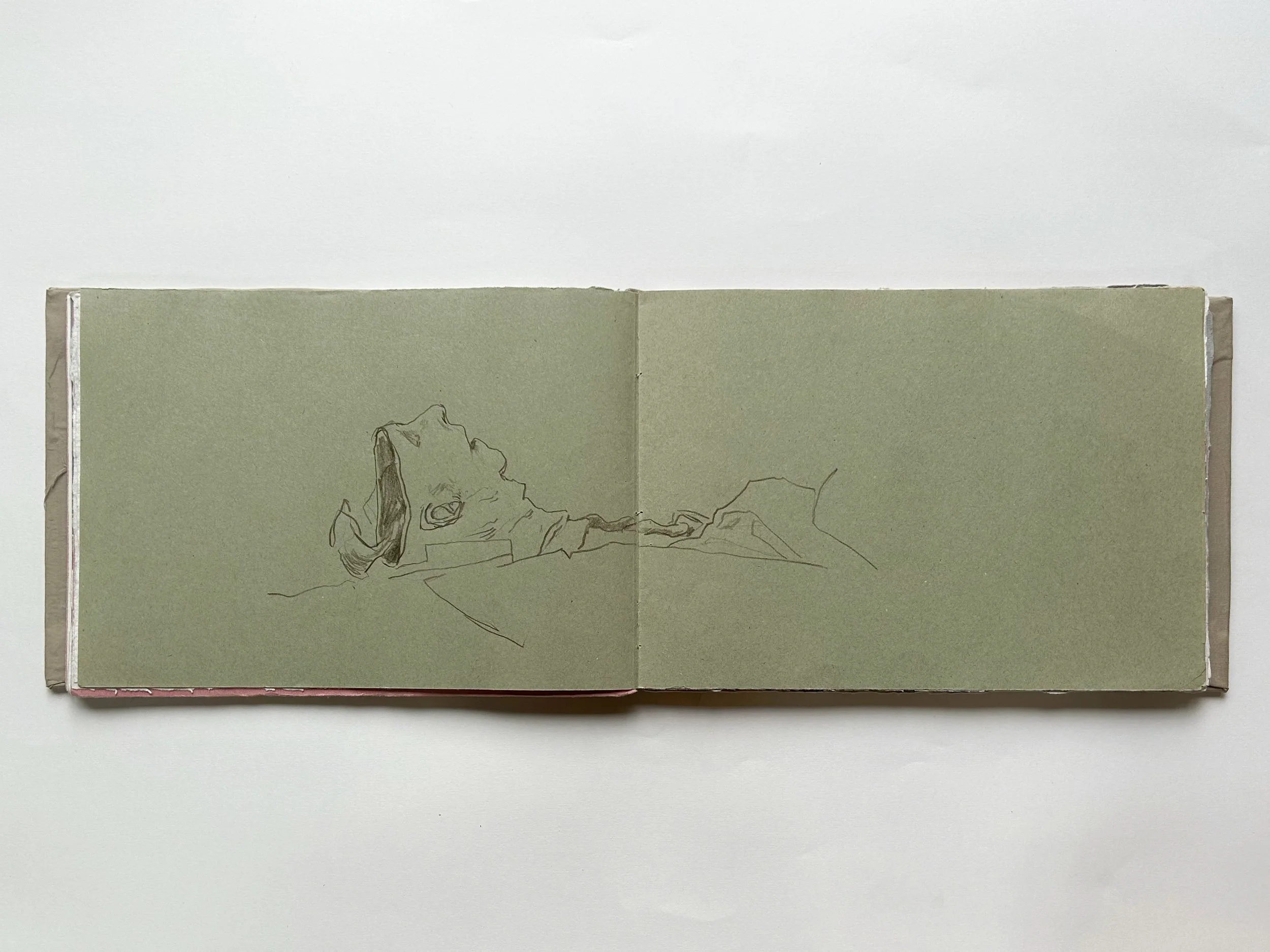 Rowan Briggs Smith, Anatomy Sketchbook, 31 x 21 cm, 2025