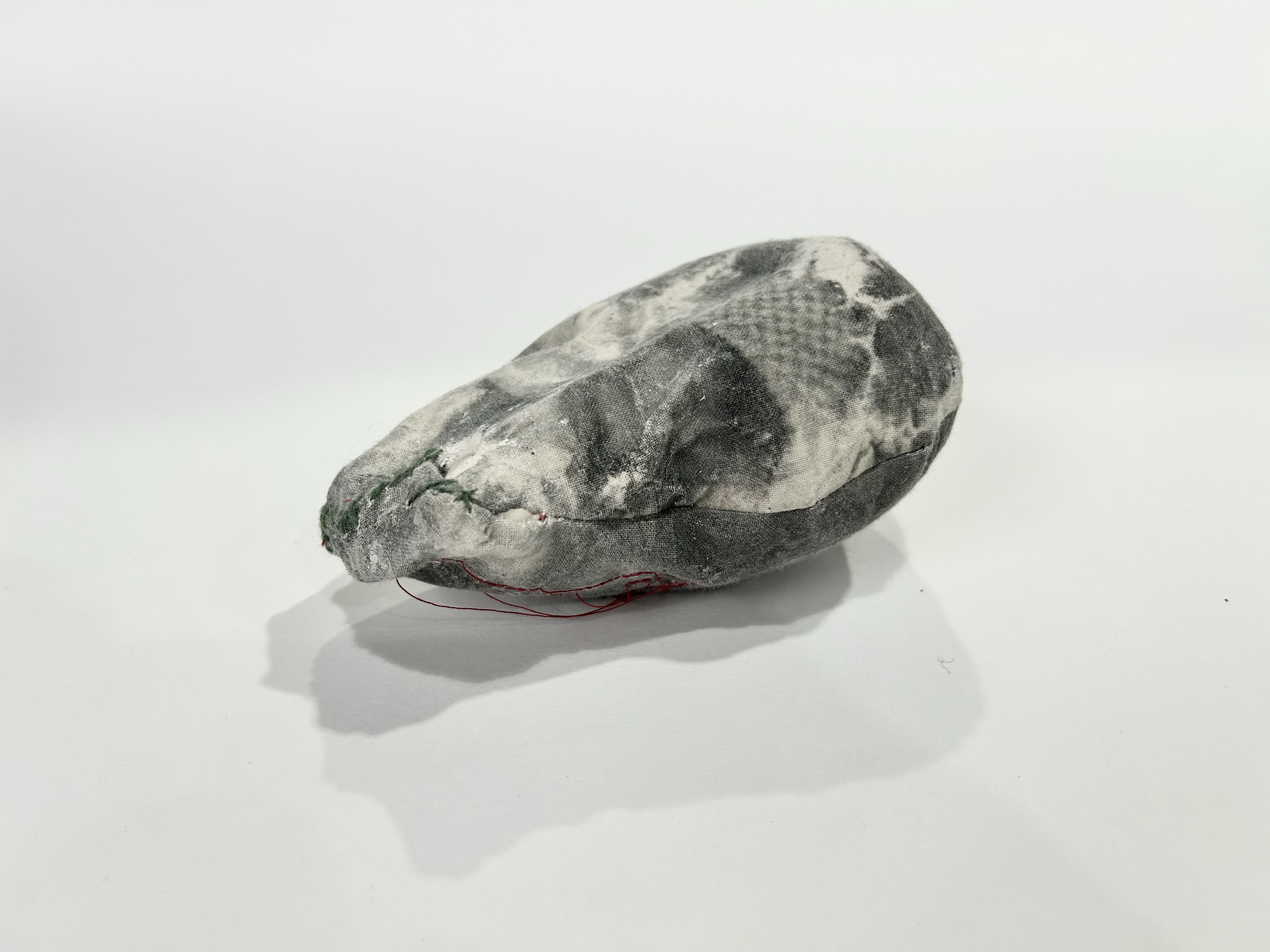 Calico coated in Liquid Light photographic emulsion, exposed, sewn, filled with plaster and lead