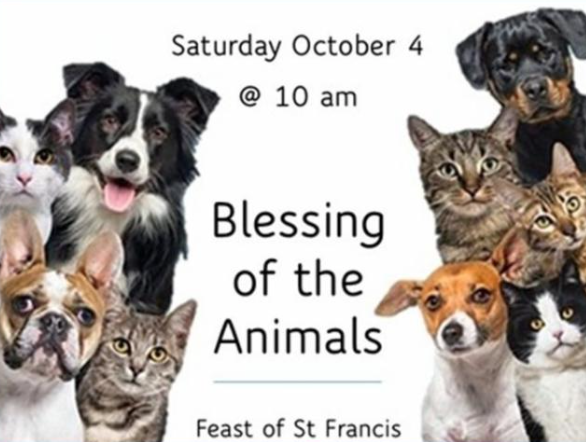 Blessing of the Animals