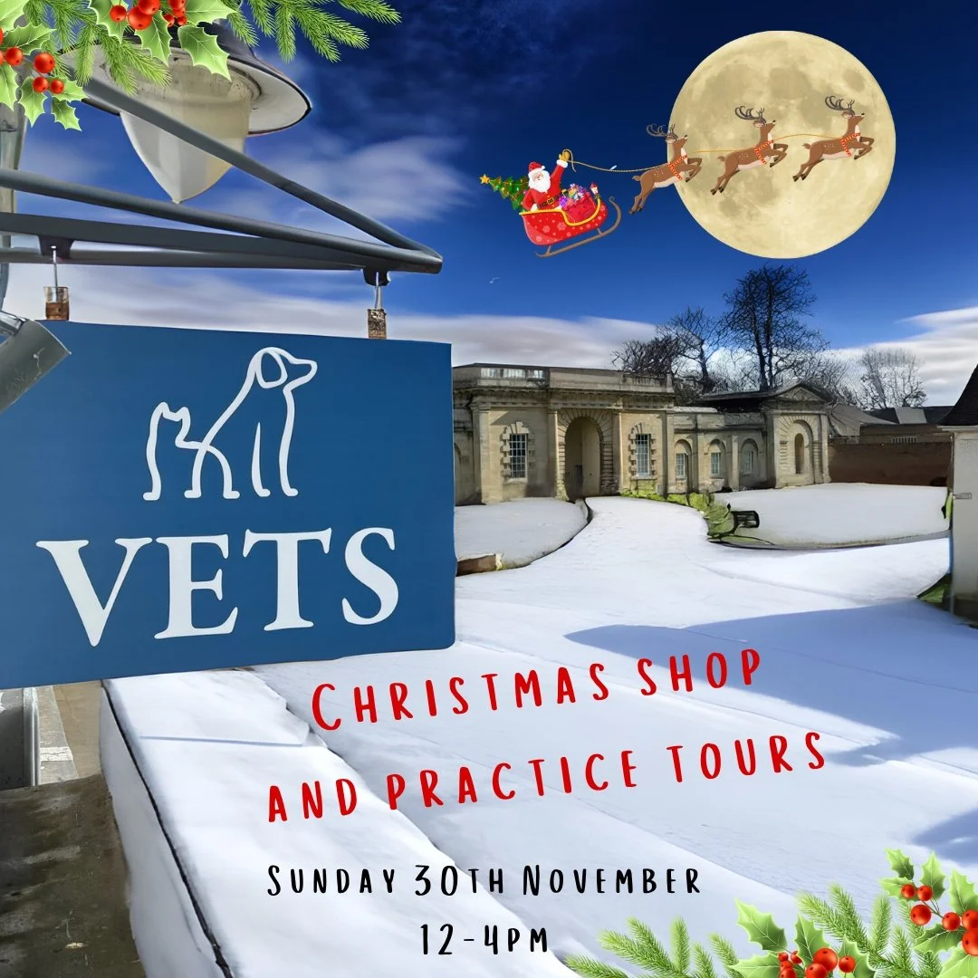 🎄 Kimbolton Christmas Market! 🎄
Sunday 30th November | 12&ndash;4pm

It&rsquo;s going to be a wonderfully festive day in Kimbolton, with the High Street Christmas Market and the Christmas Fair at Kimbolton Castle happening side by side &mdash; and 