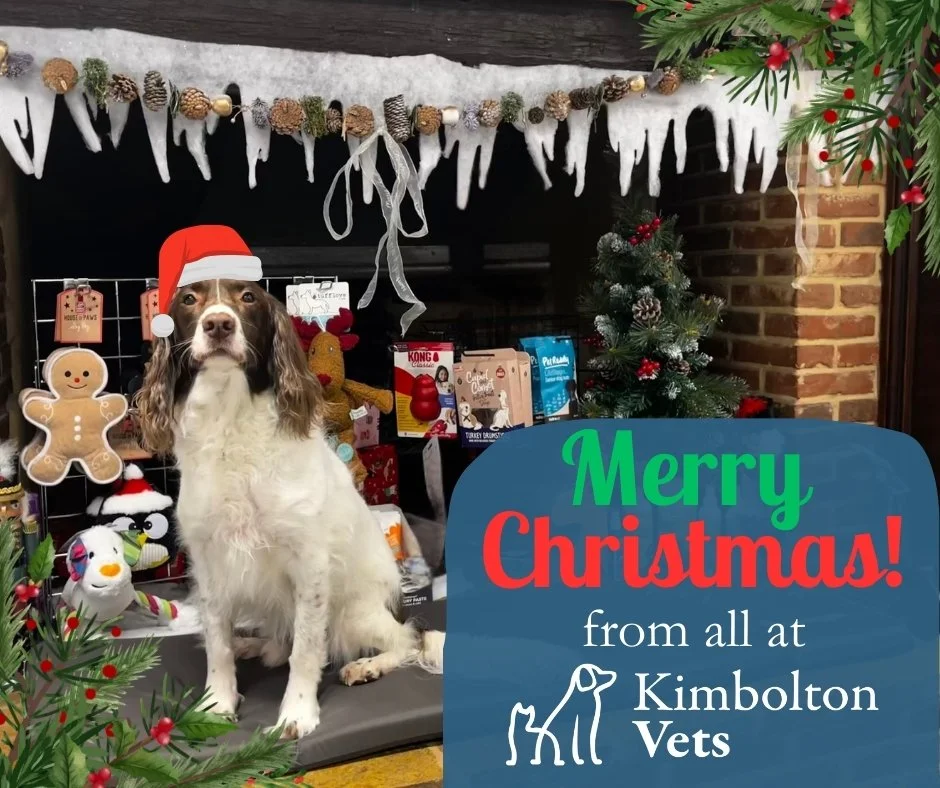 🎄✨ Merry Christmas from all of us at Kimbolton Vets ✨🎄
Thank you so much for trusting us with your wonderful pets throughout the year. It really does mean a lot to us. We are so grateful to be part of such a lovely community and to care for so many