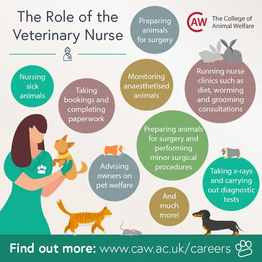 Do you know what&rsquo;s involved in being a veterinary nurse? Take a look at the College of Animal Welfare&rsquo;s careers page if you&rsquo;d like to learn more about what it takes 💪